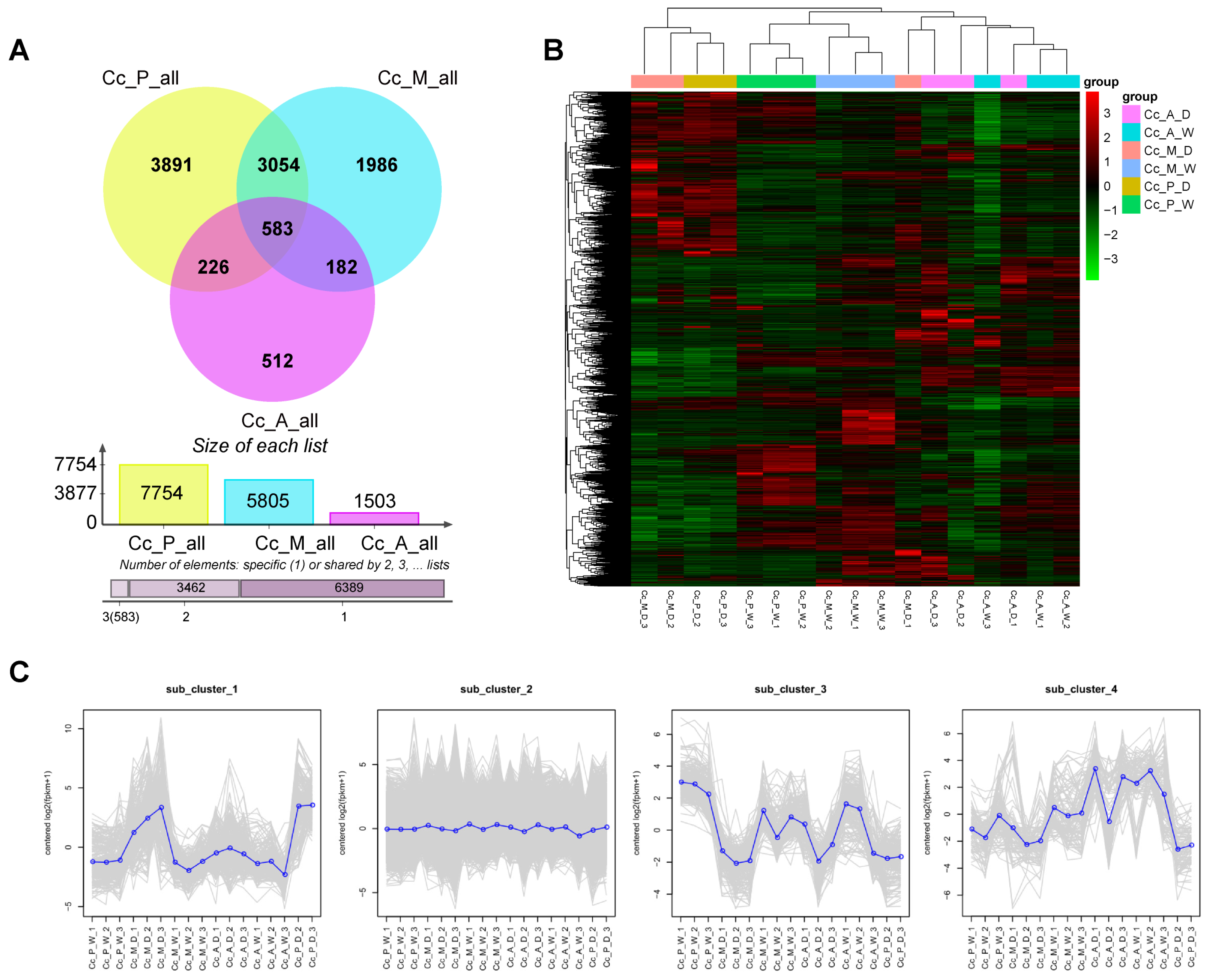 Plants 14 00793 g002