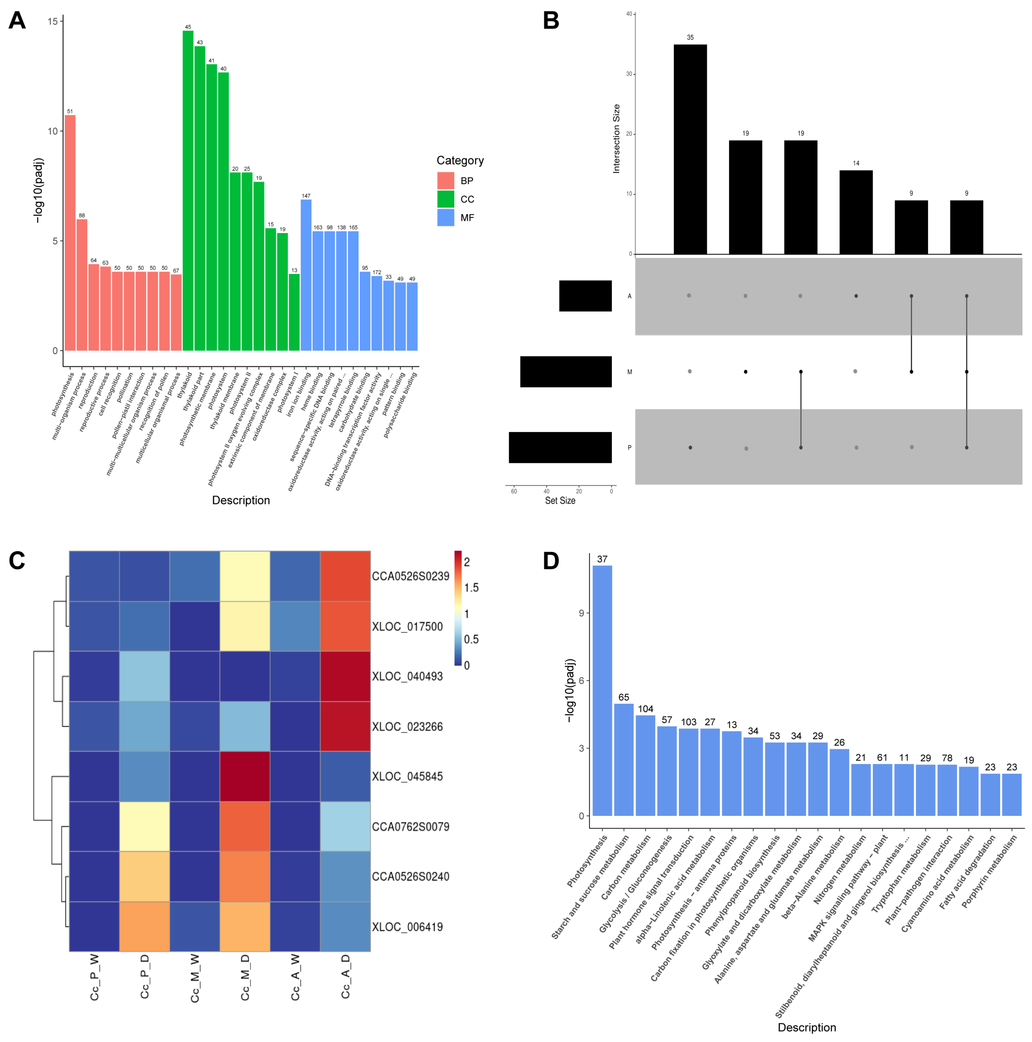 Plants 14 00793 g003