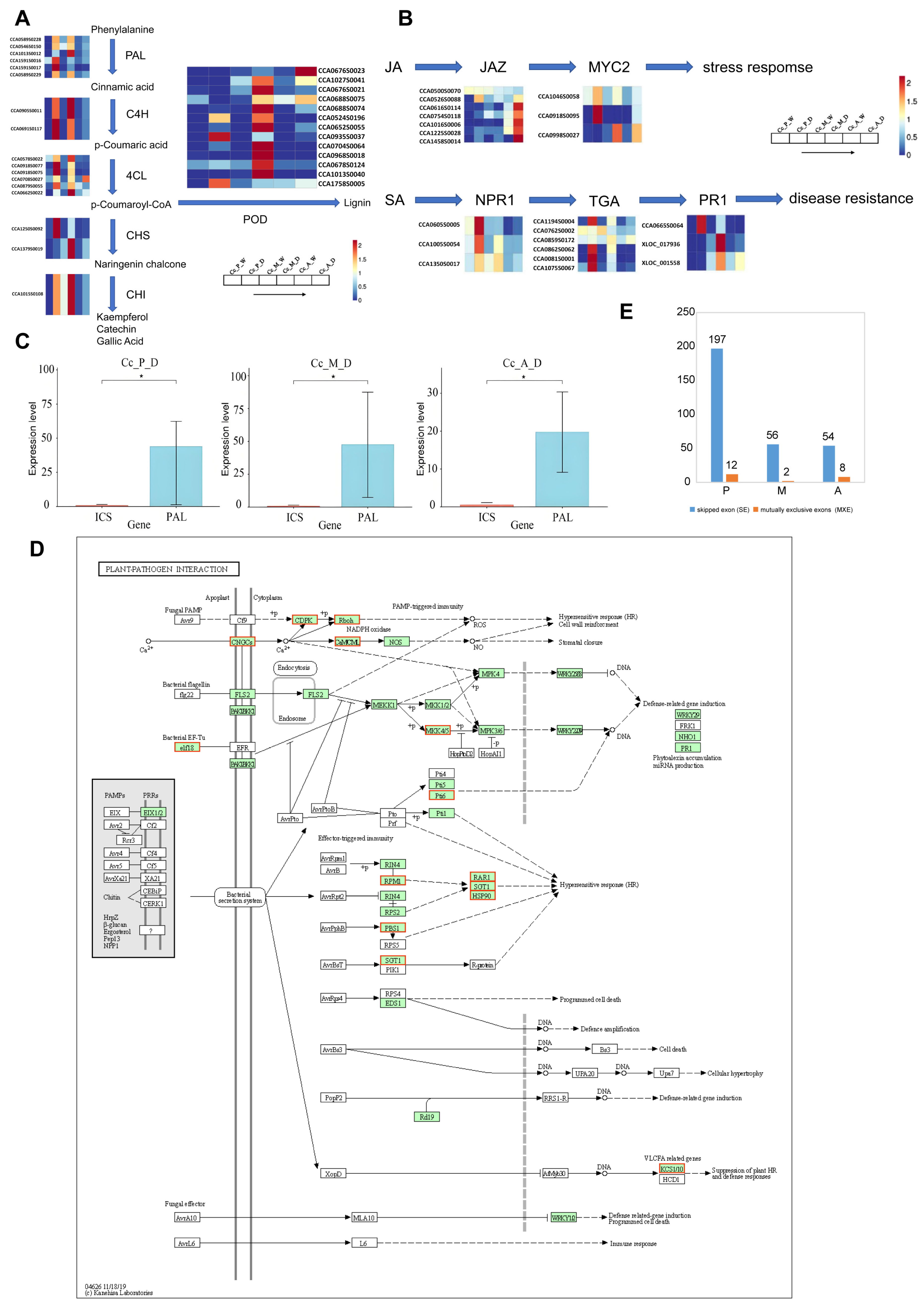 Plants 14 00793 g005