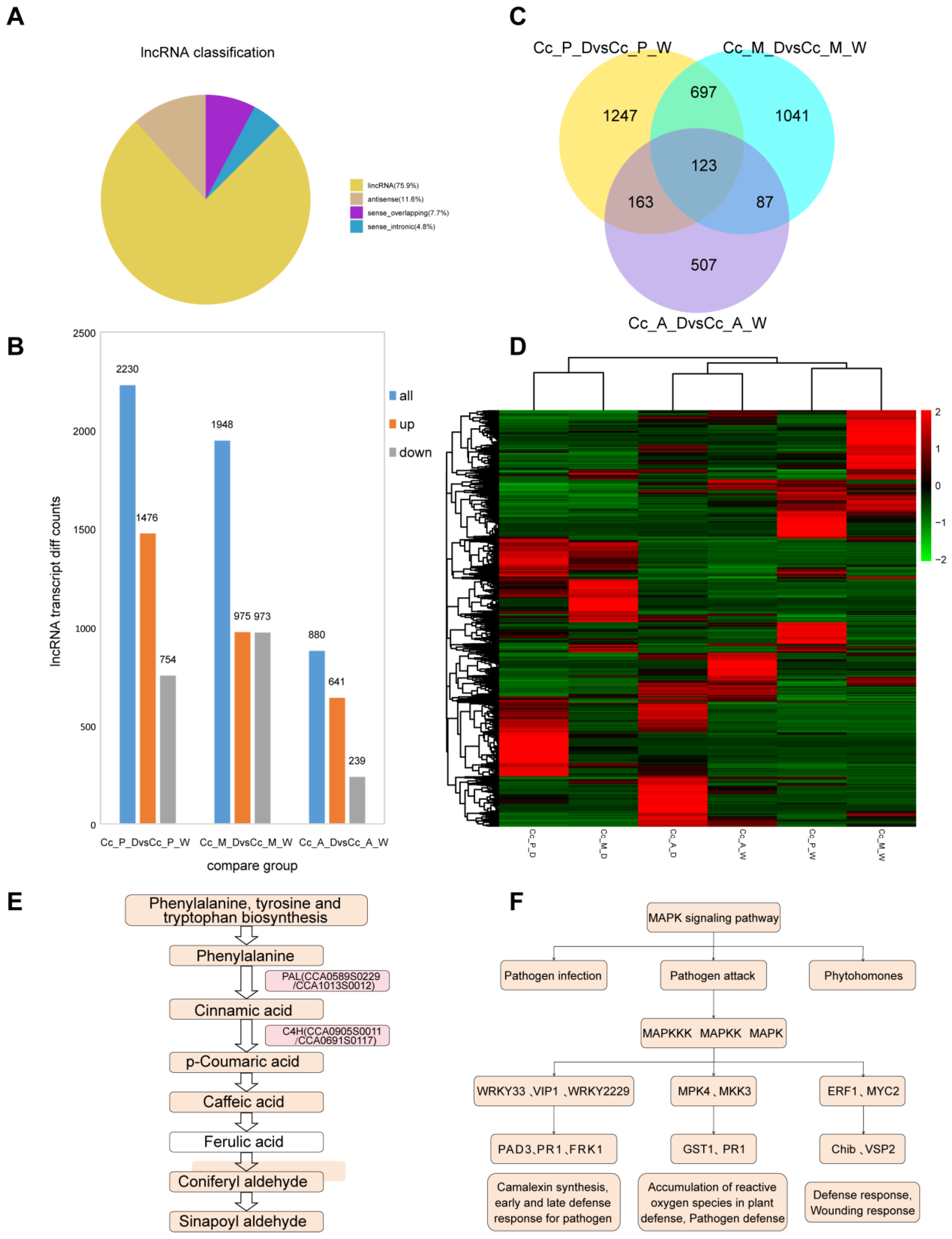 Plants 14 00793 g006