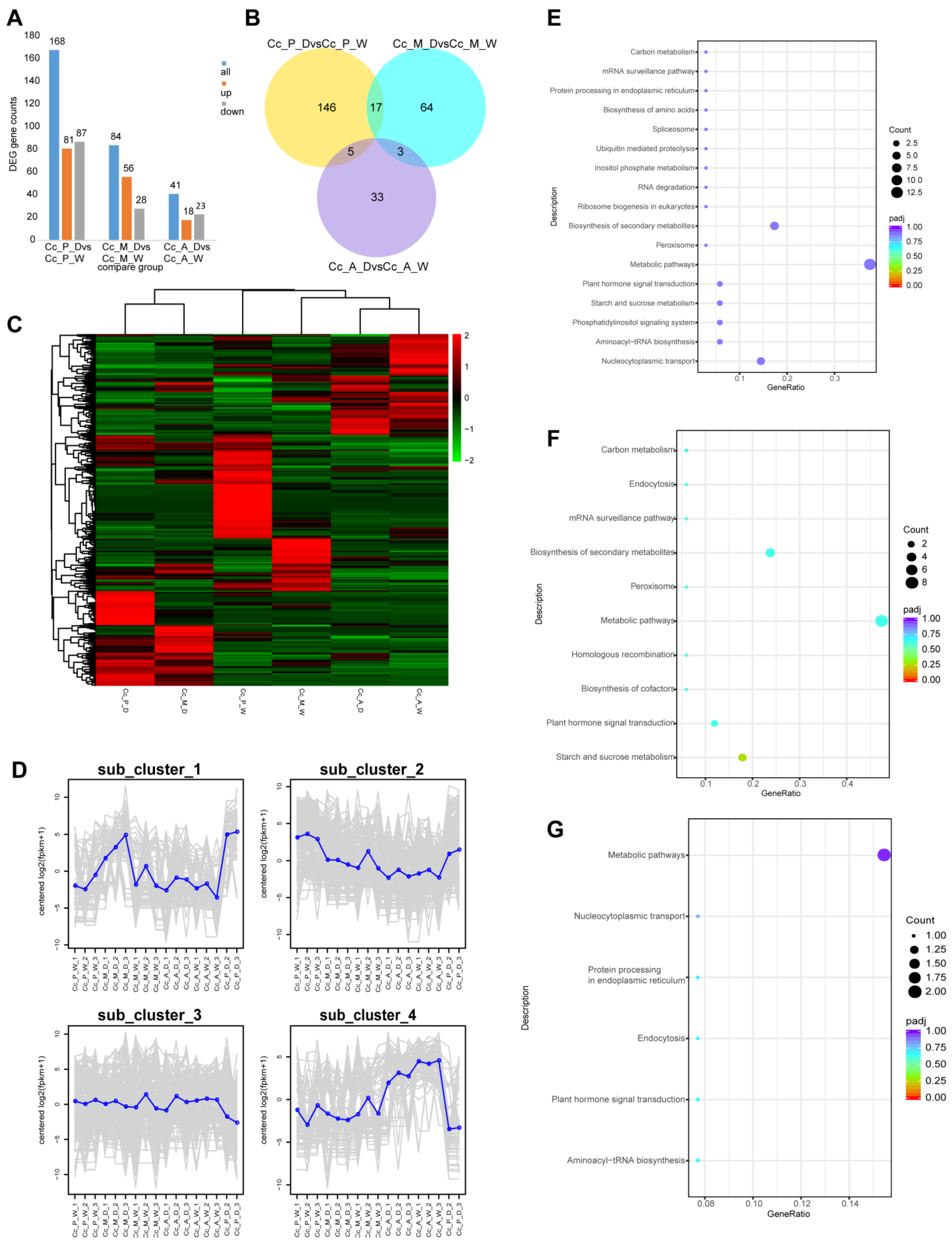 Plants 14 00793 g007