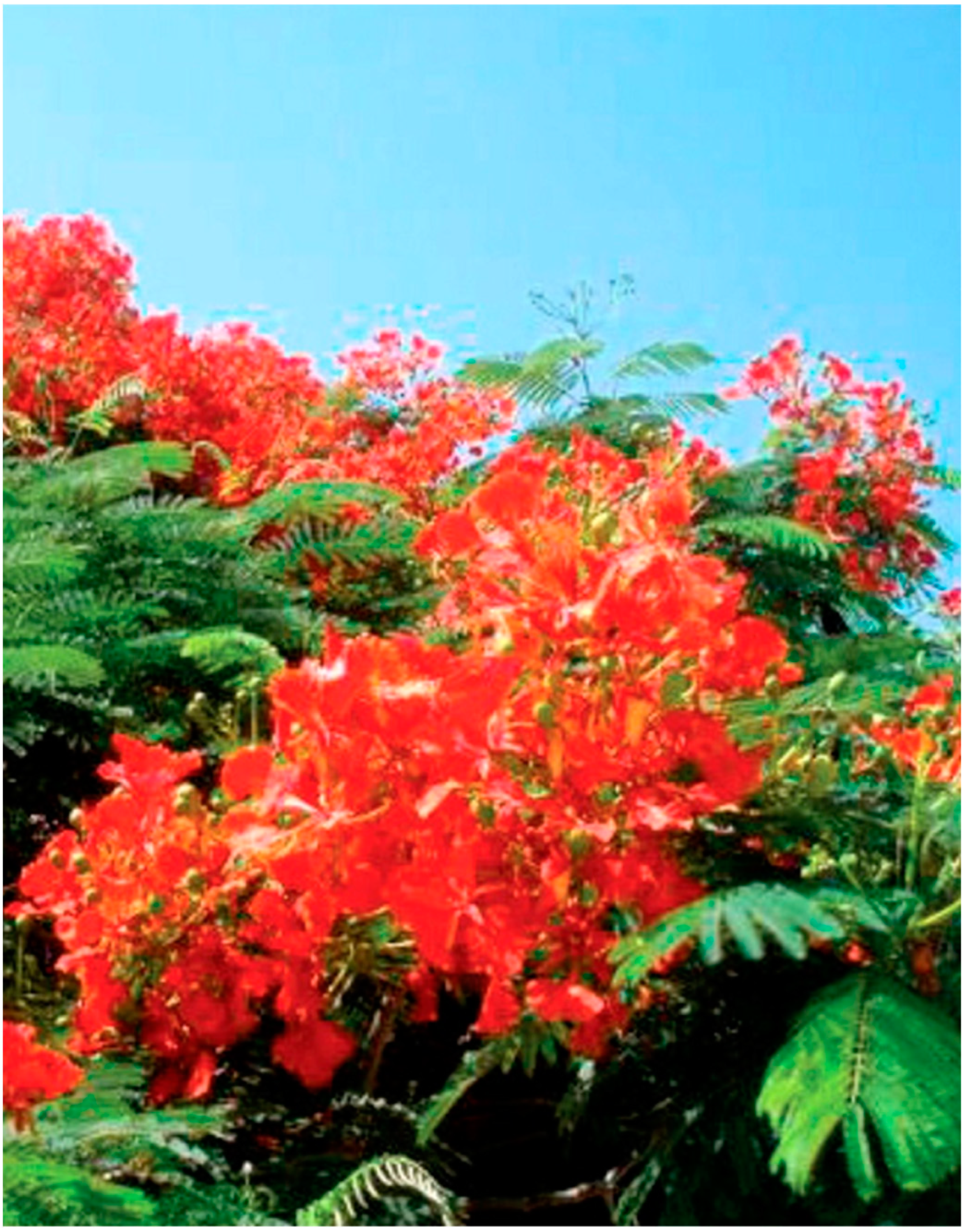 Plants 14 00795 g006