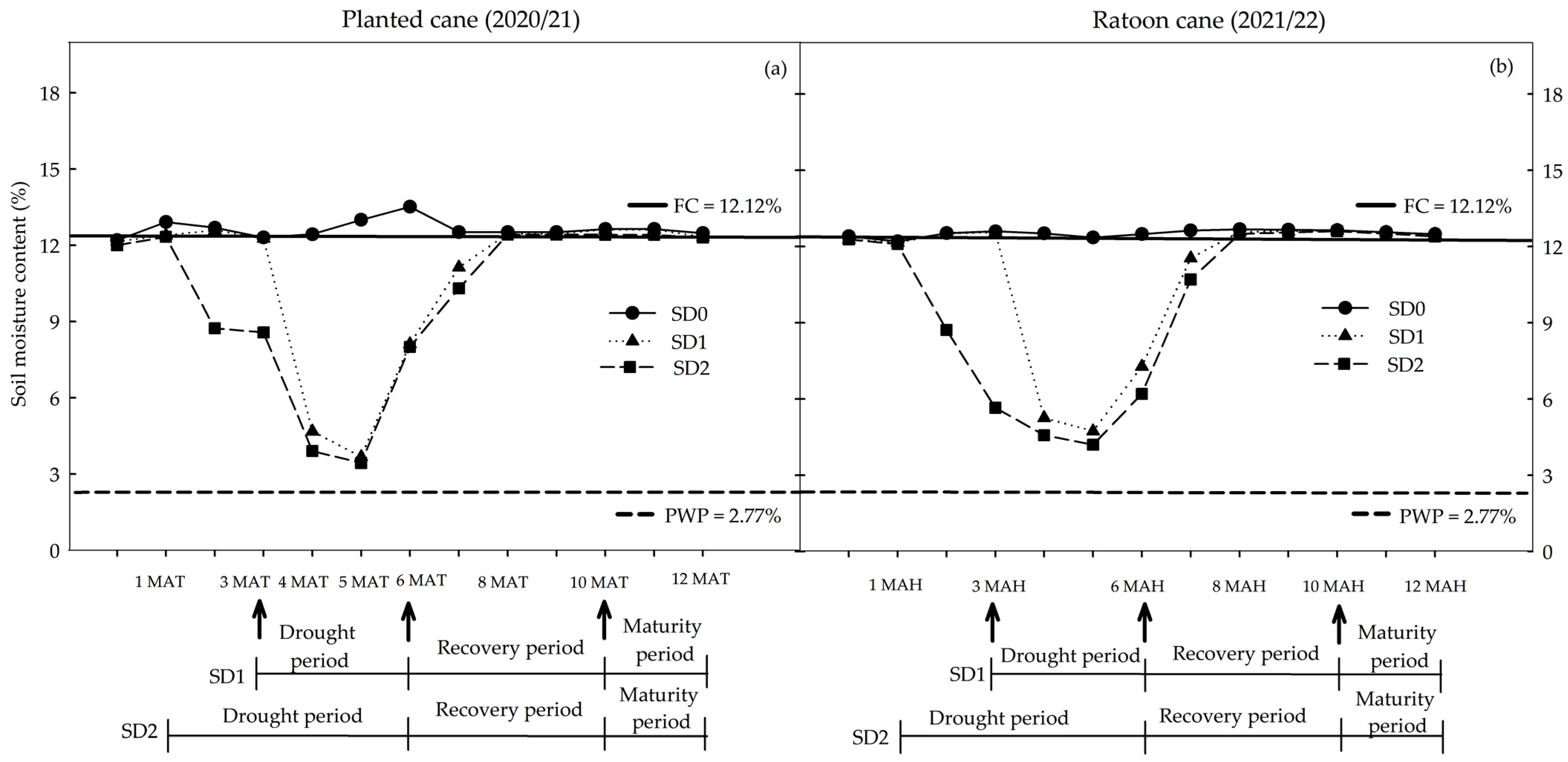 Plants 14 00796 g001 Plants 14 00796 g001
