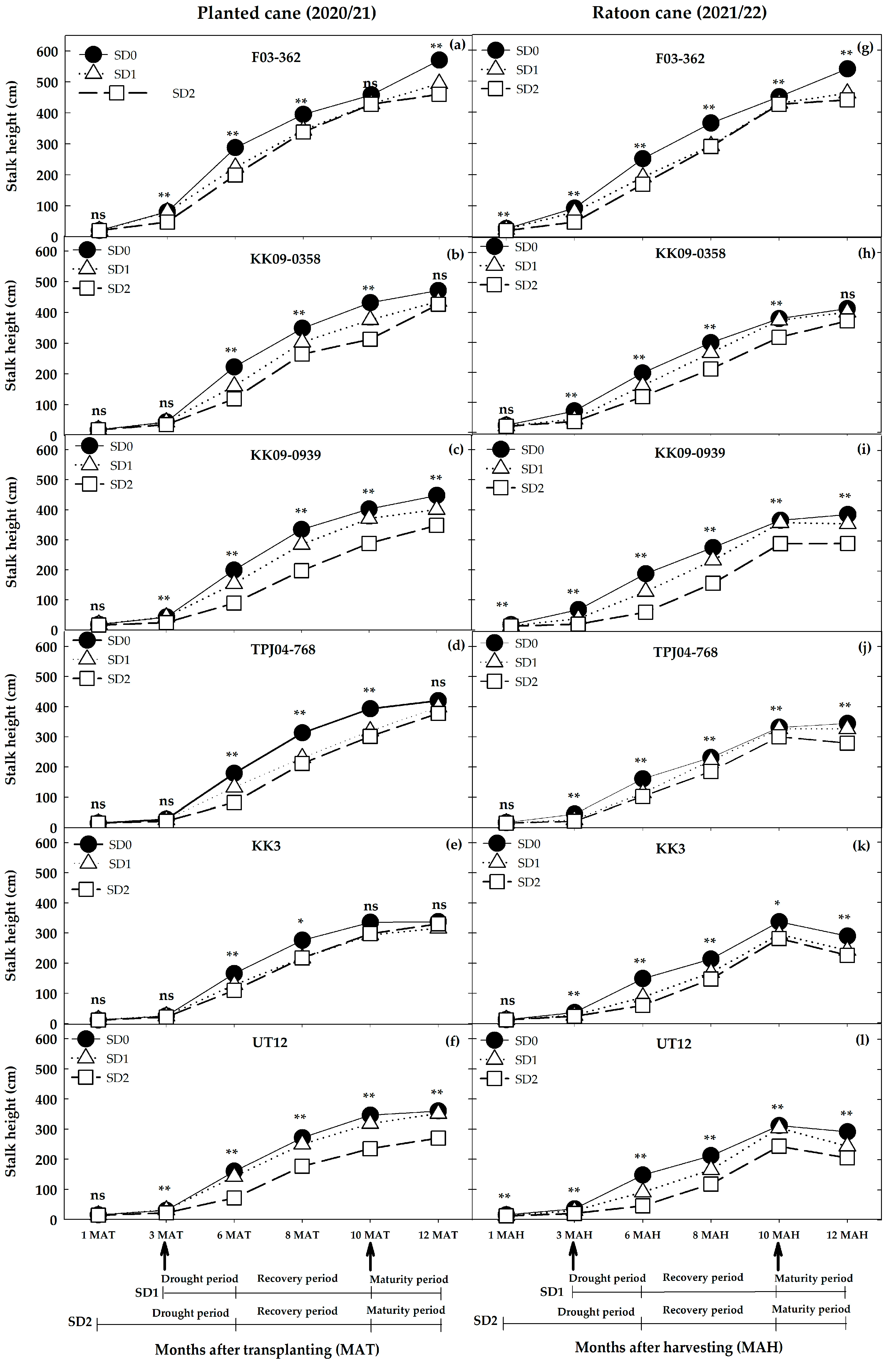 Plants 14 00796 g007 Plants 14 00796 g007