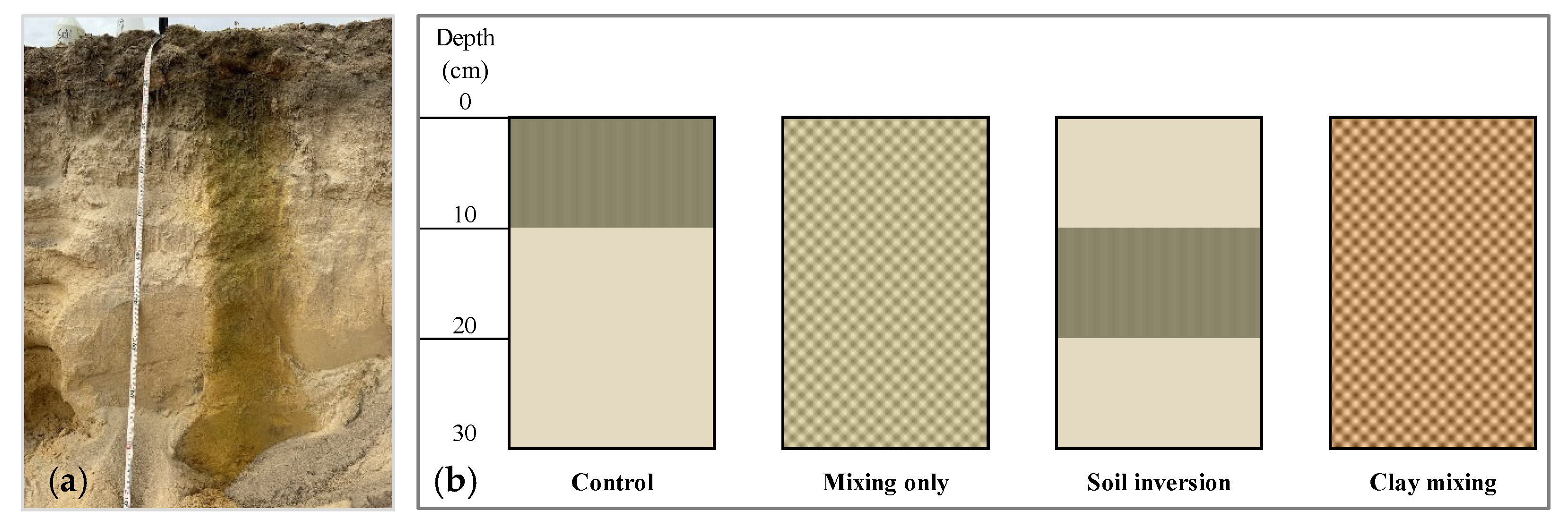 Plants 14 00799 g005