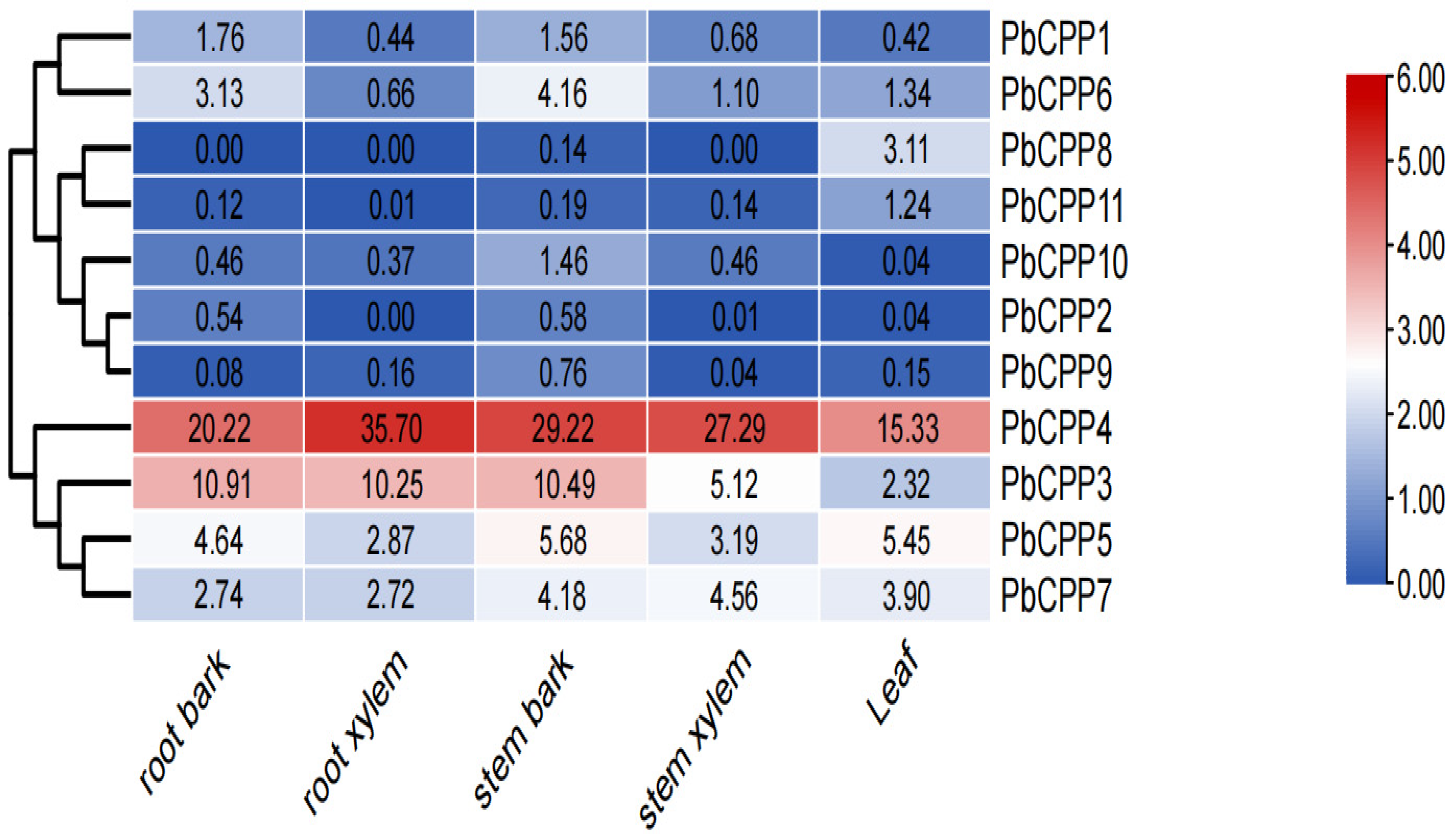 Plants 14 00803 g002