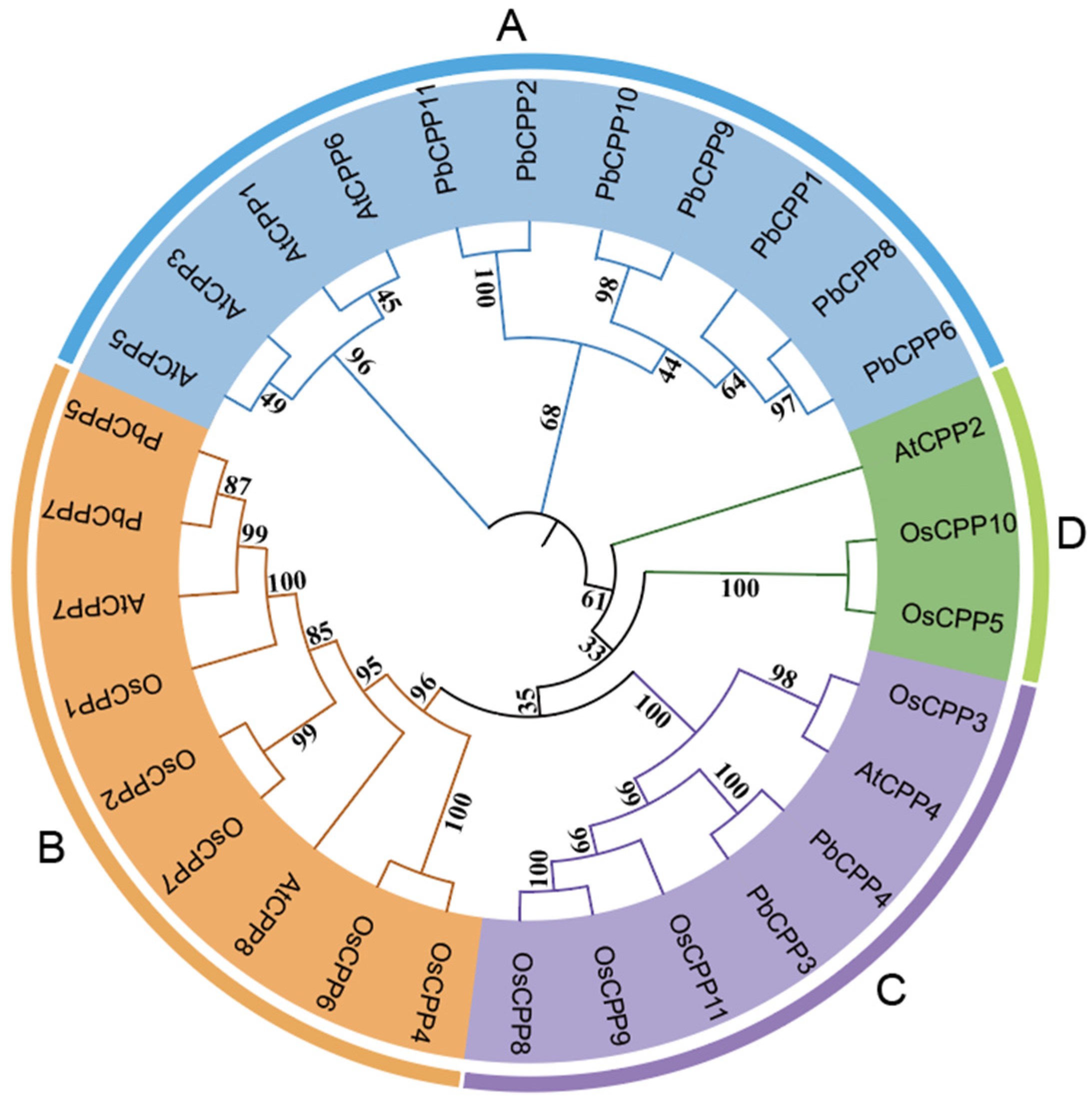 Plants 14 00803 g003