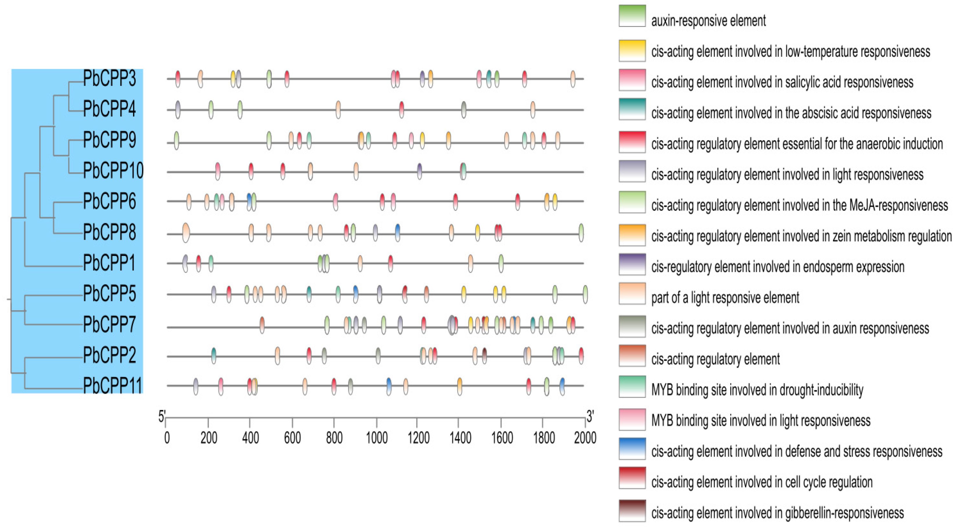 Plants 14 00803 g004