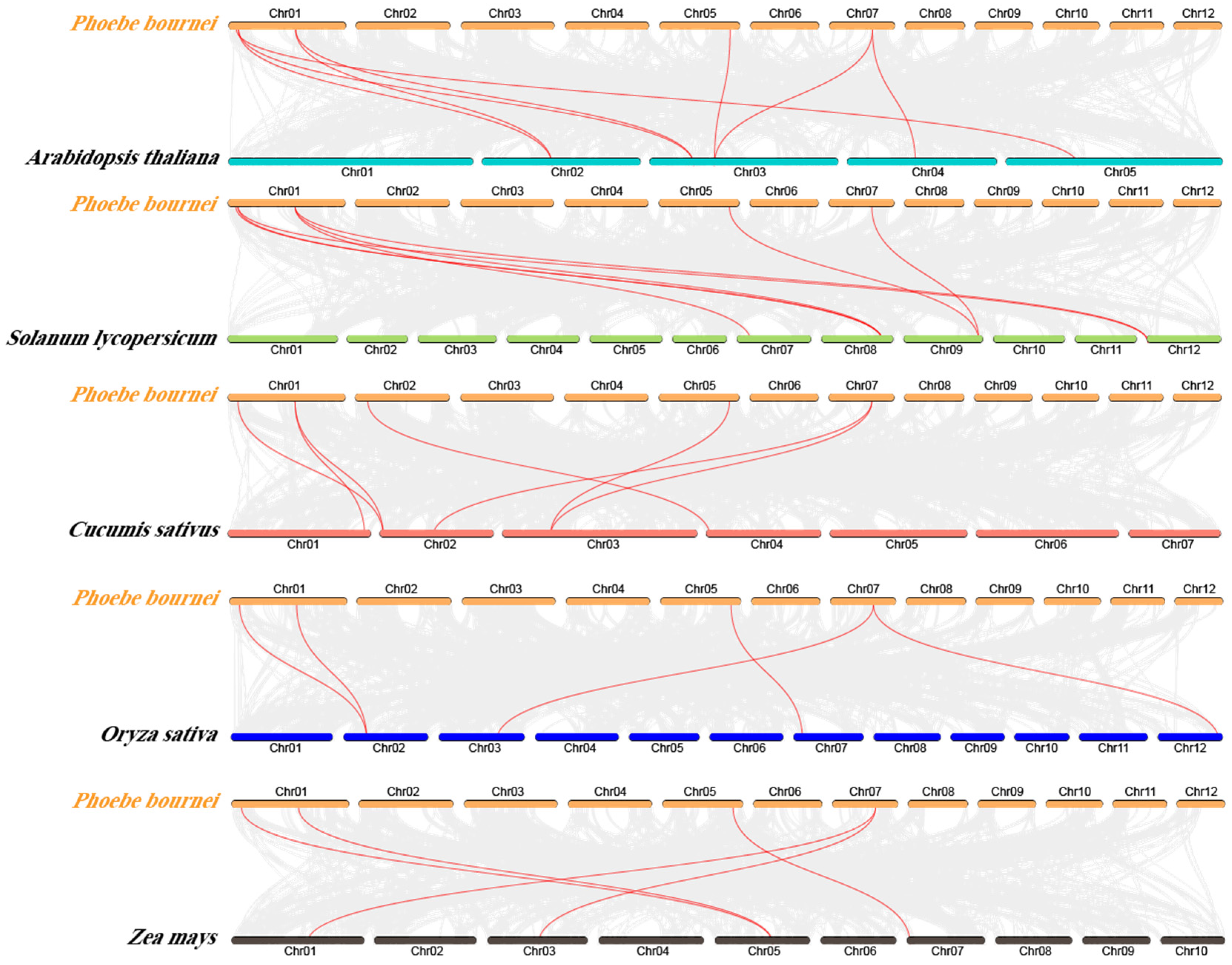 Plants 14 00803 g005