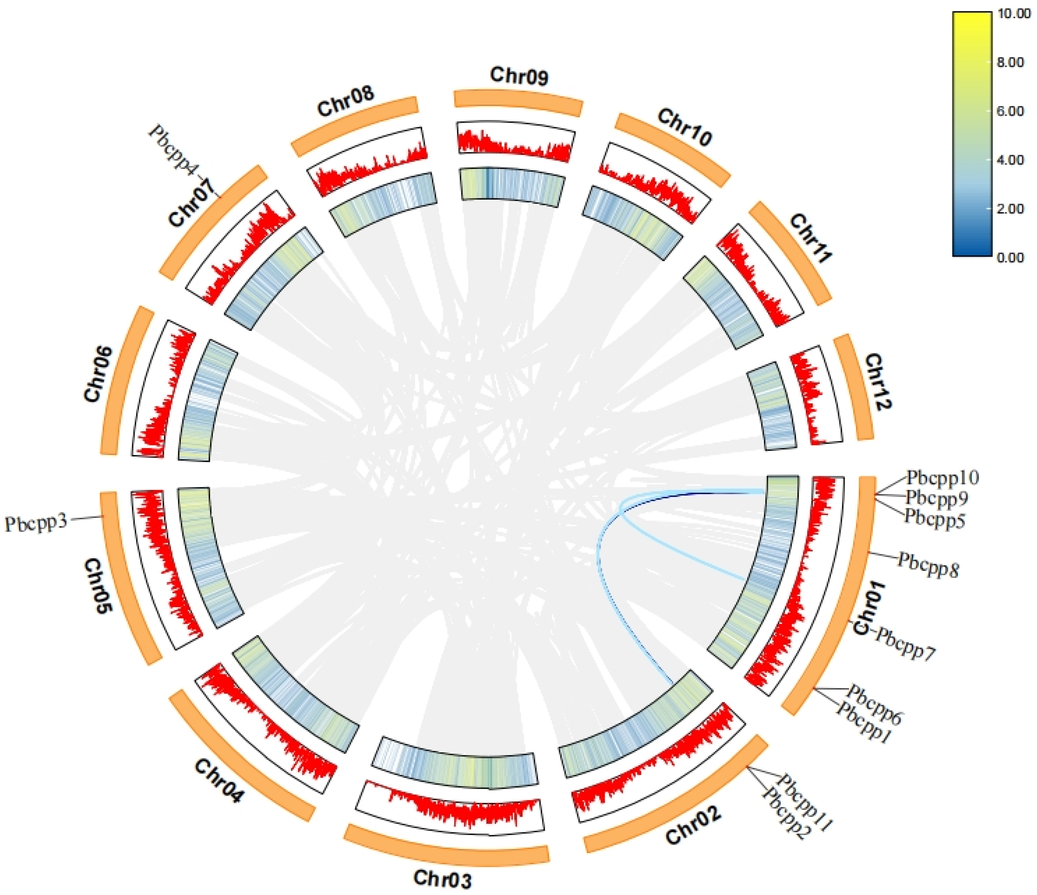 Plants 14 00803 g006
