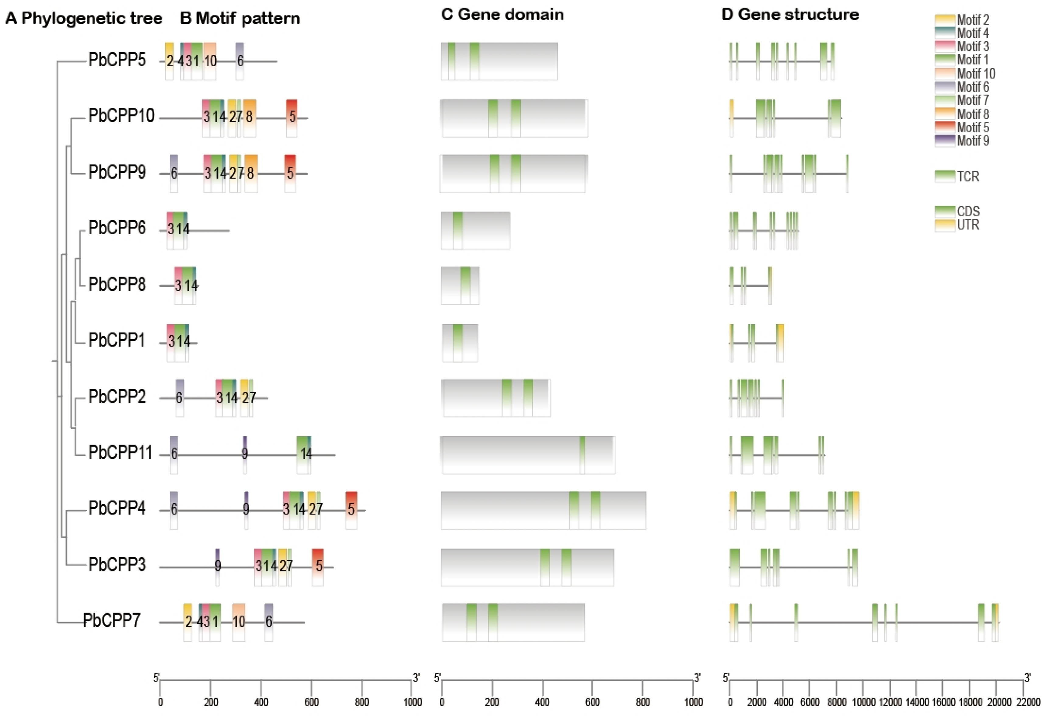Plants 14 00803 g007