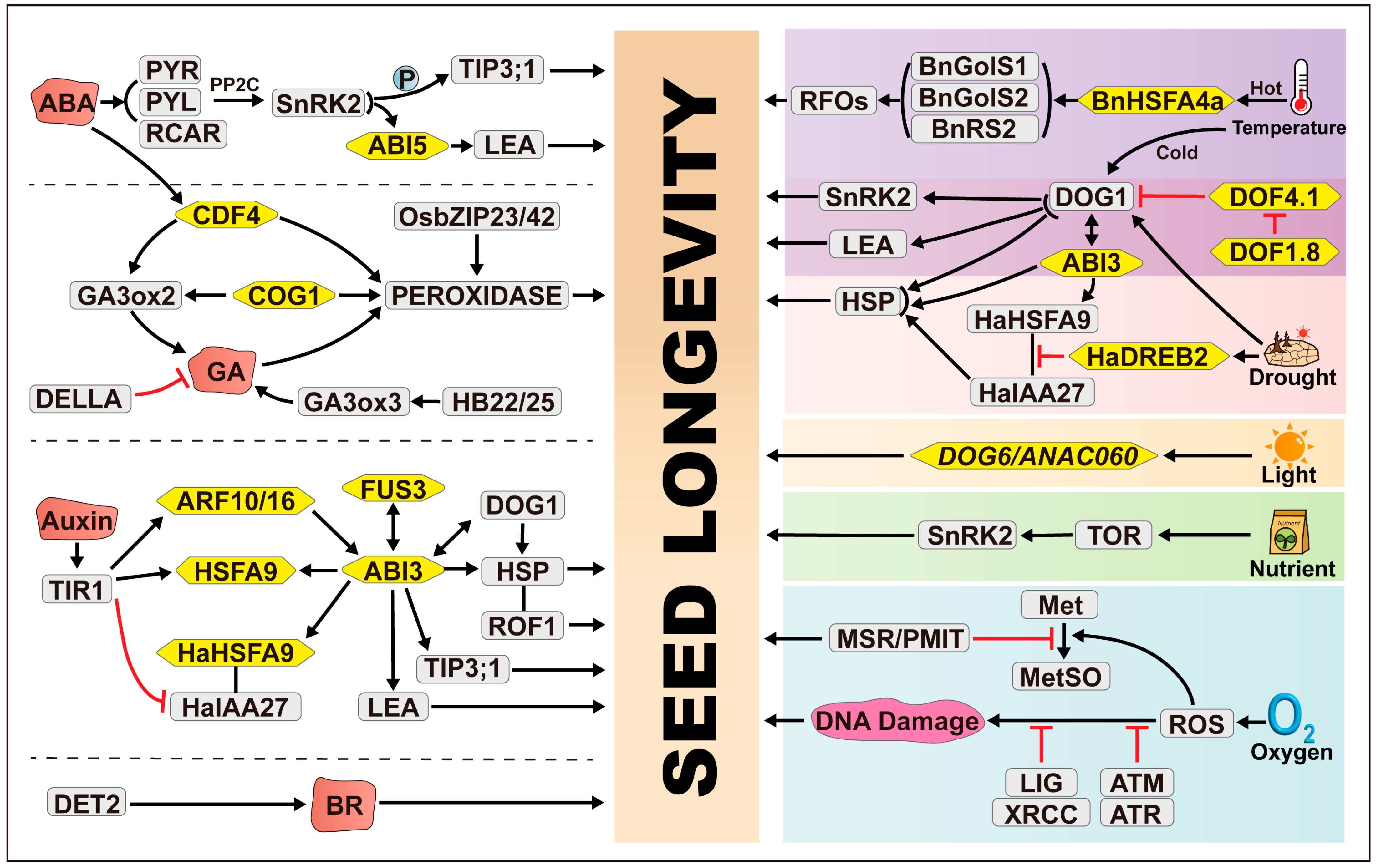 Plants 14 00805 g001