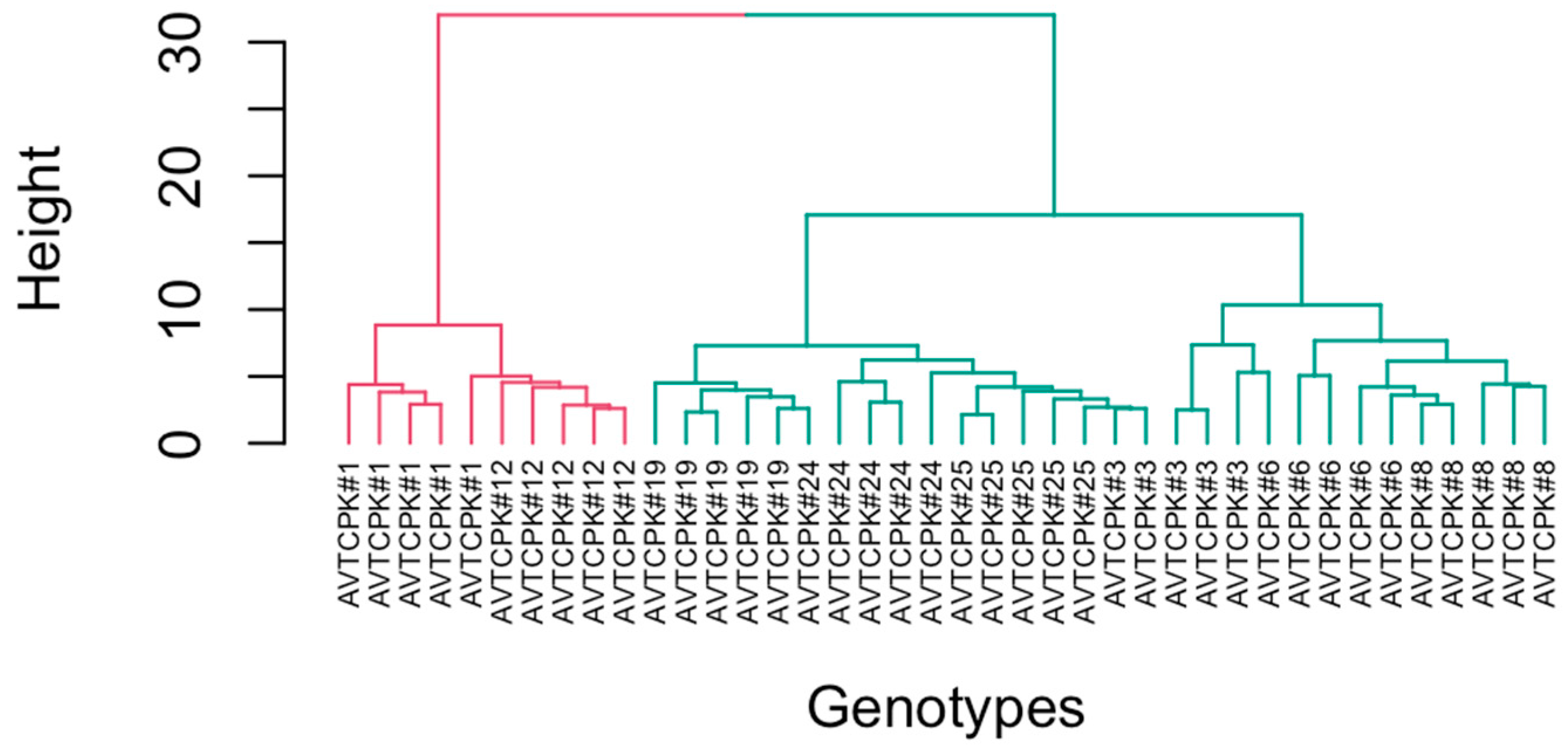 Plants 14 00806 g016