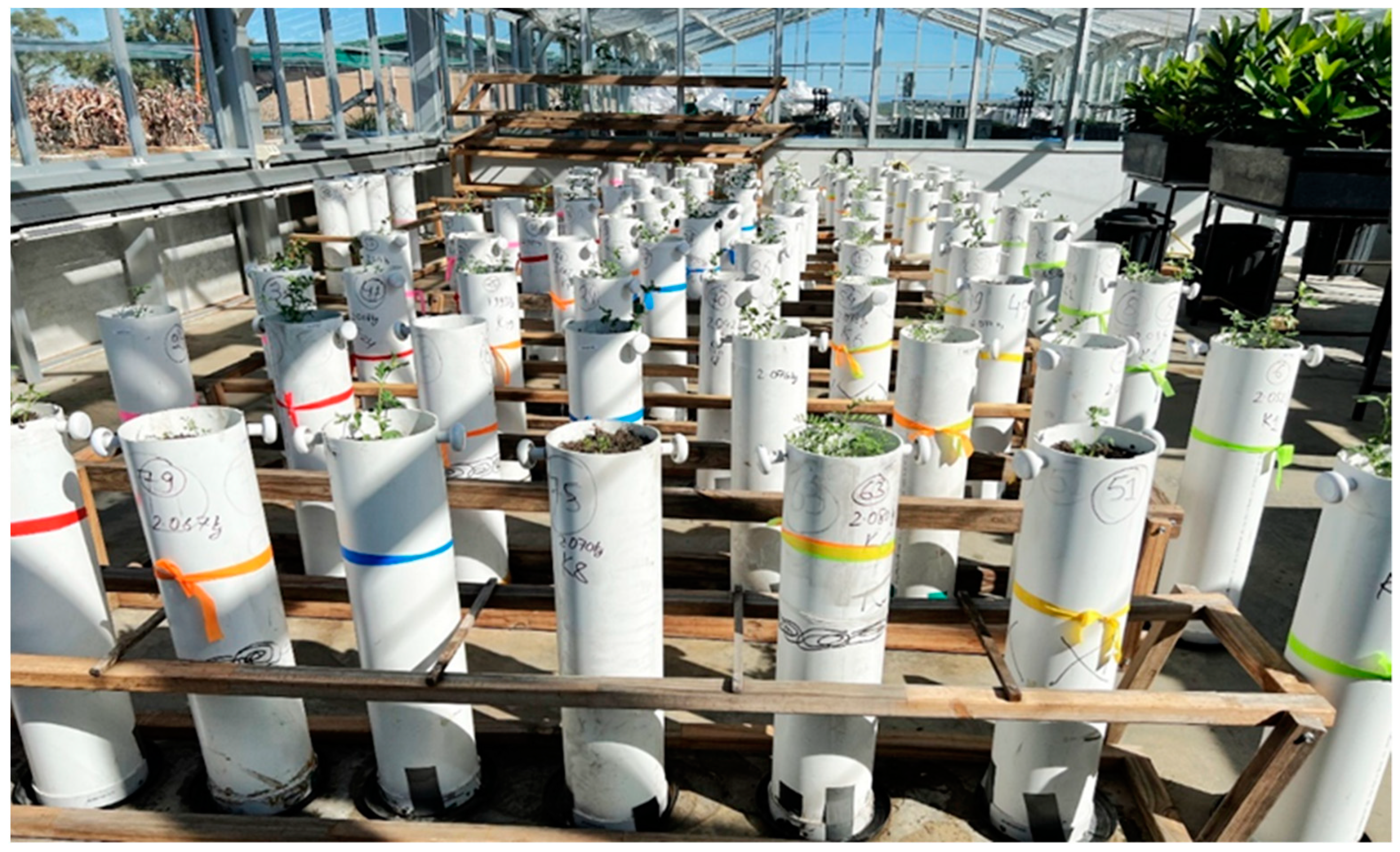 Plants 14 00806 g019