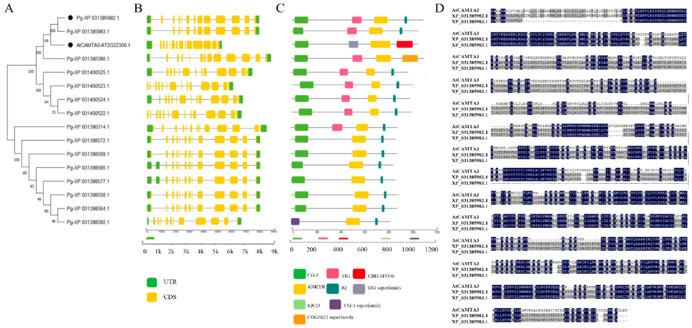 Plants 14 00813 g002 Plants 14 00813 g002