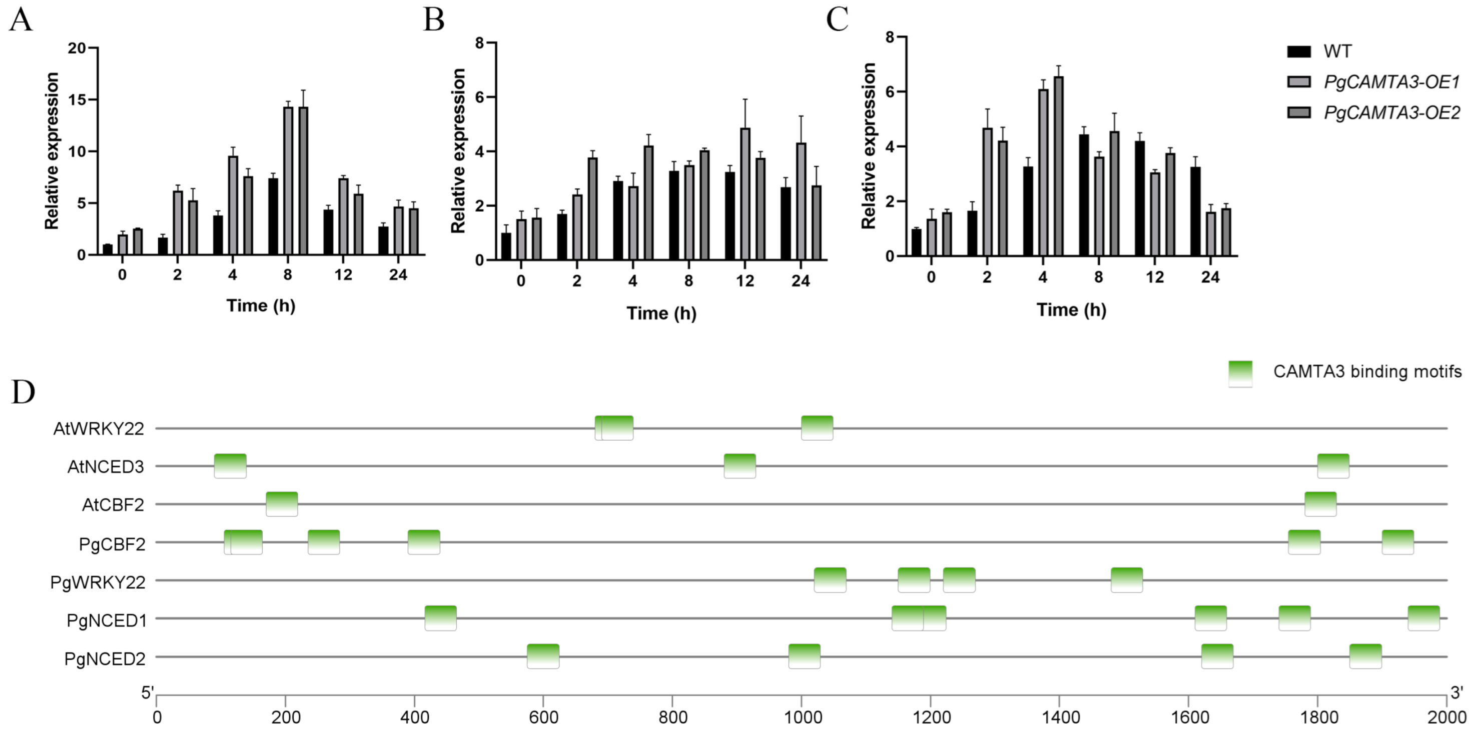 Plants 14 00813 g008 Plants 14 00813 g008