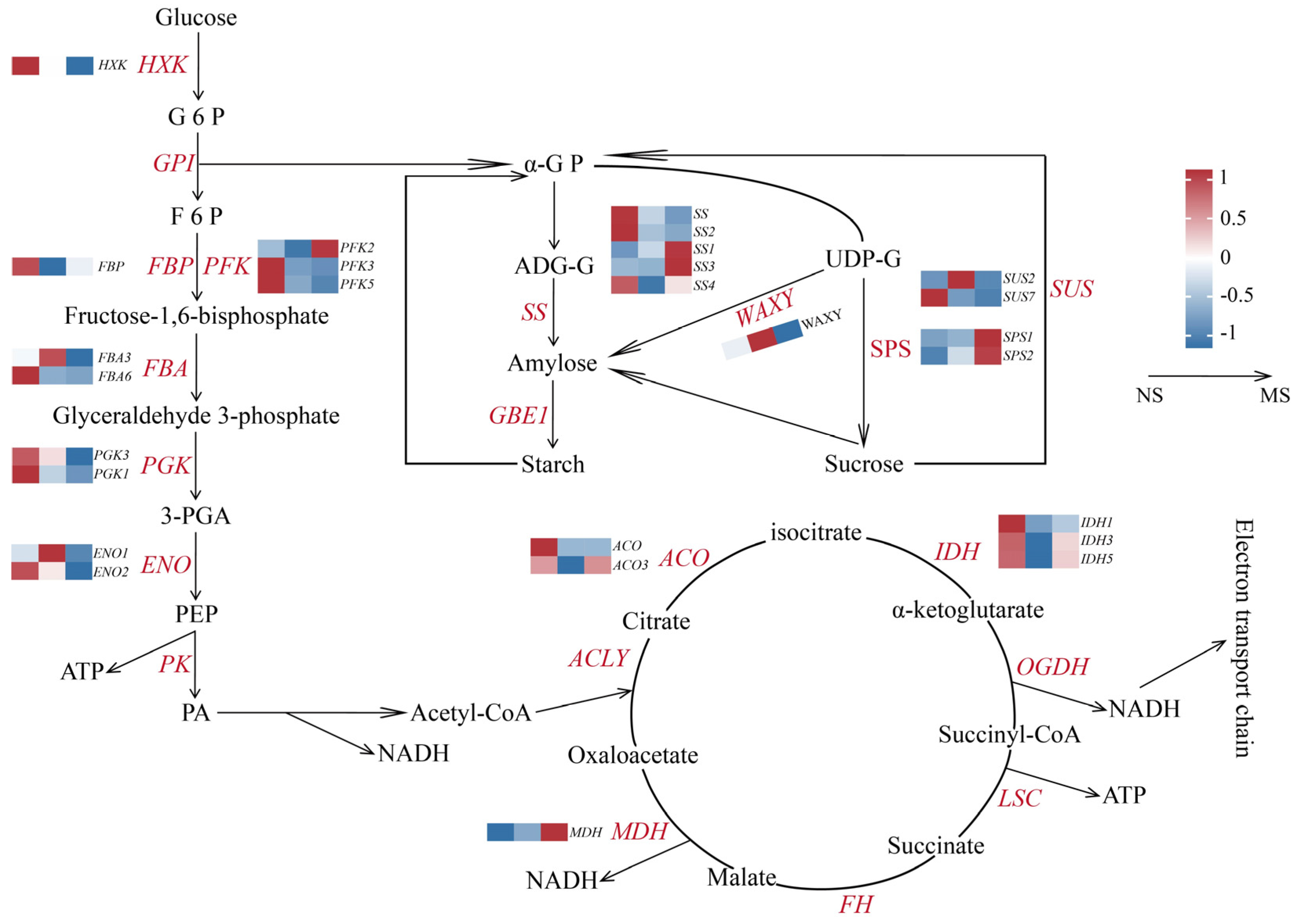 Plants 14 00817 g009