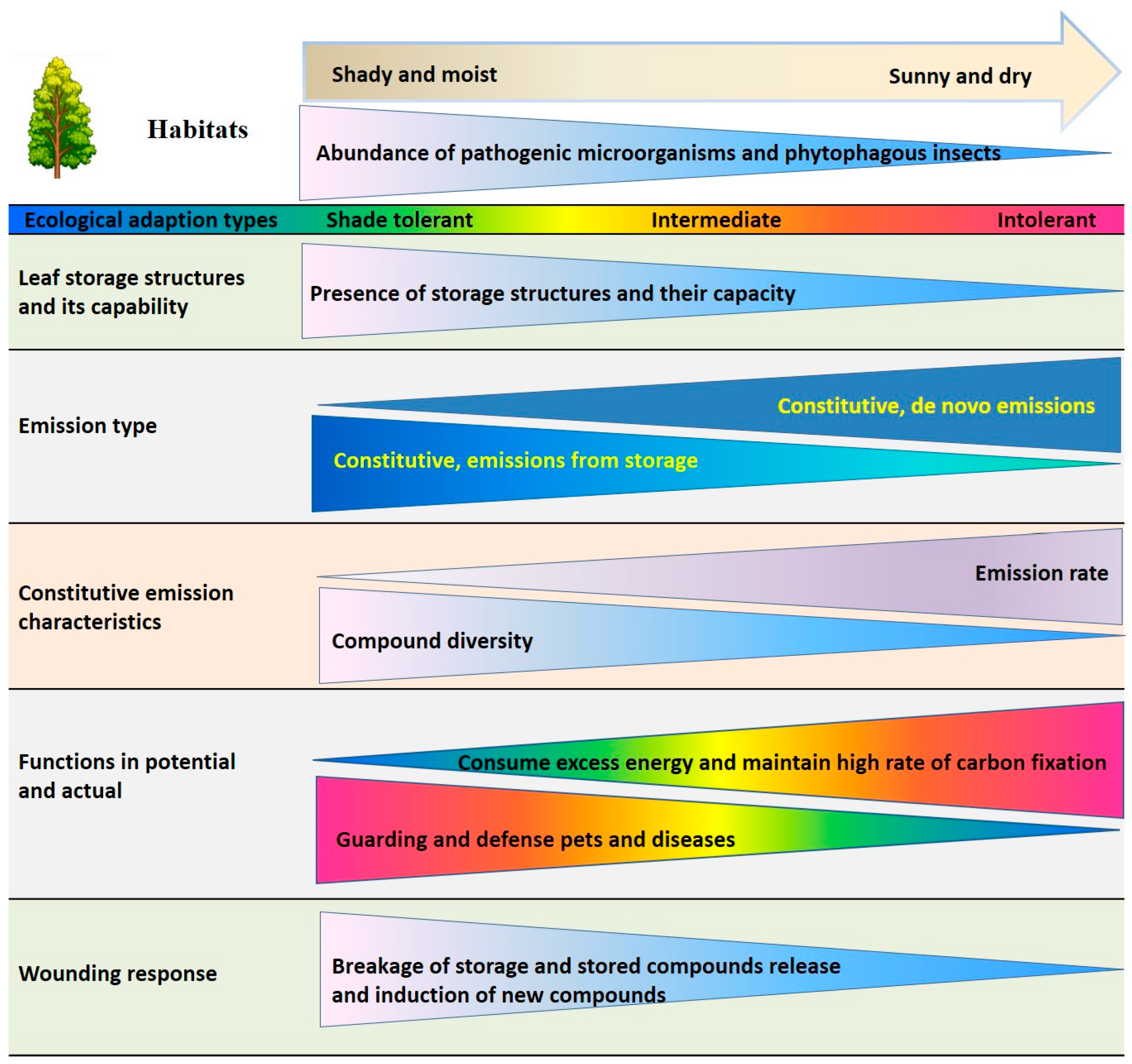 Plants 14 00821 g005