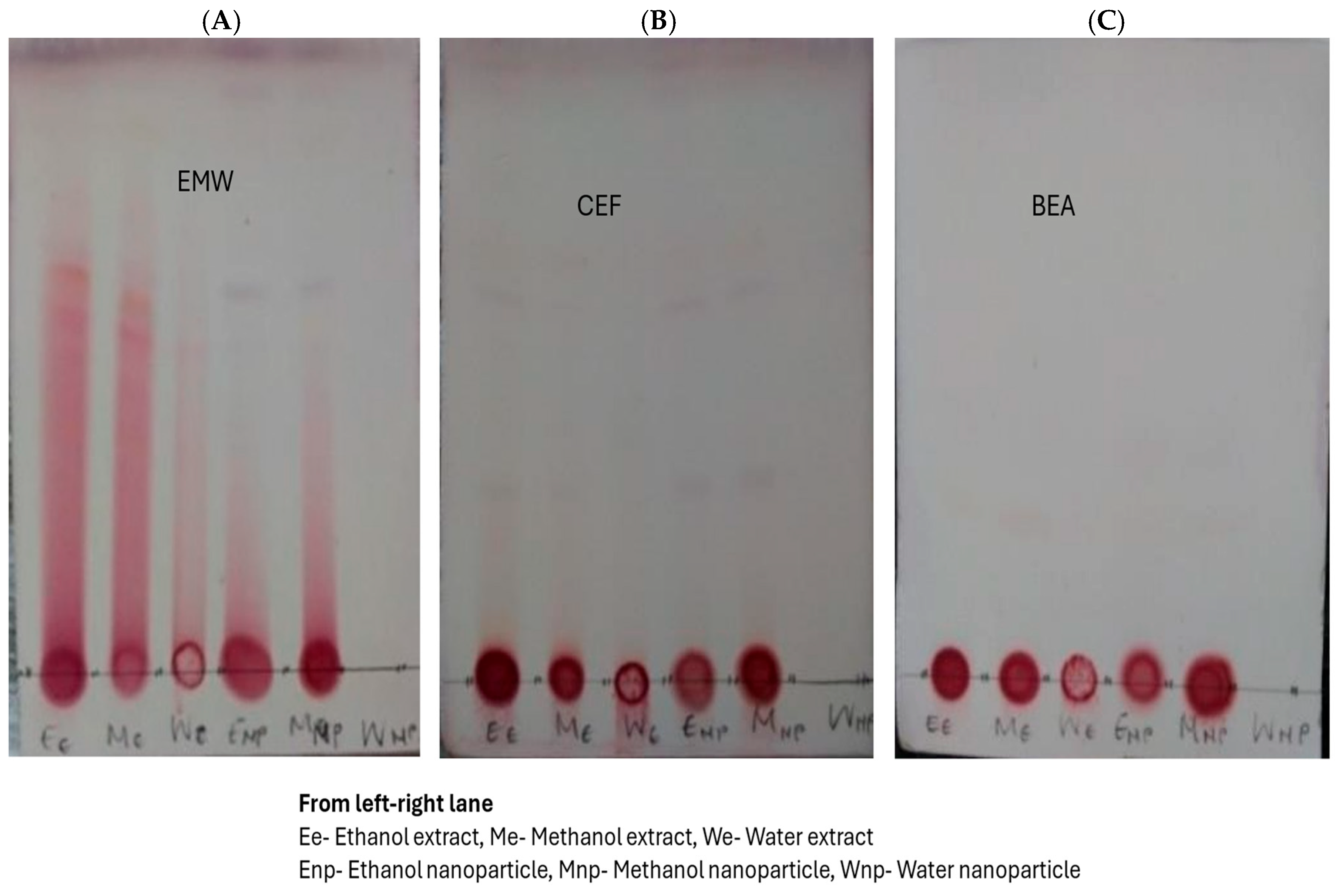 Plants 14 00822 g006
