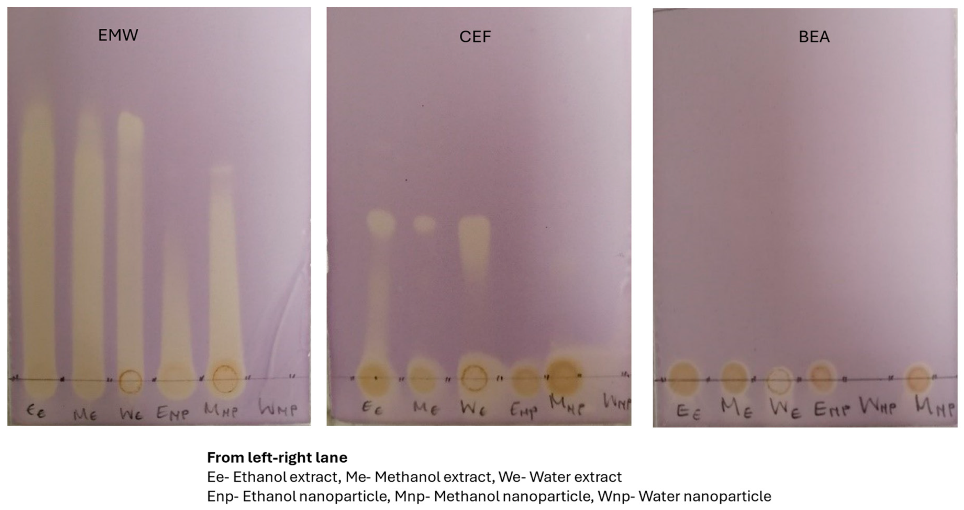 Plants 14 00822 g007