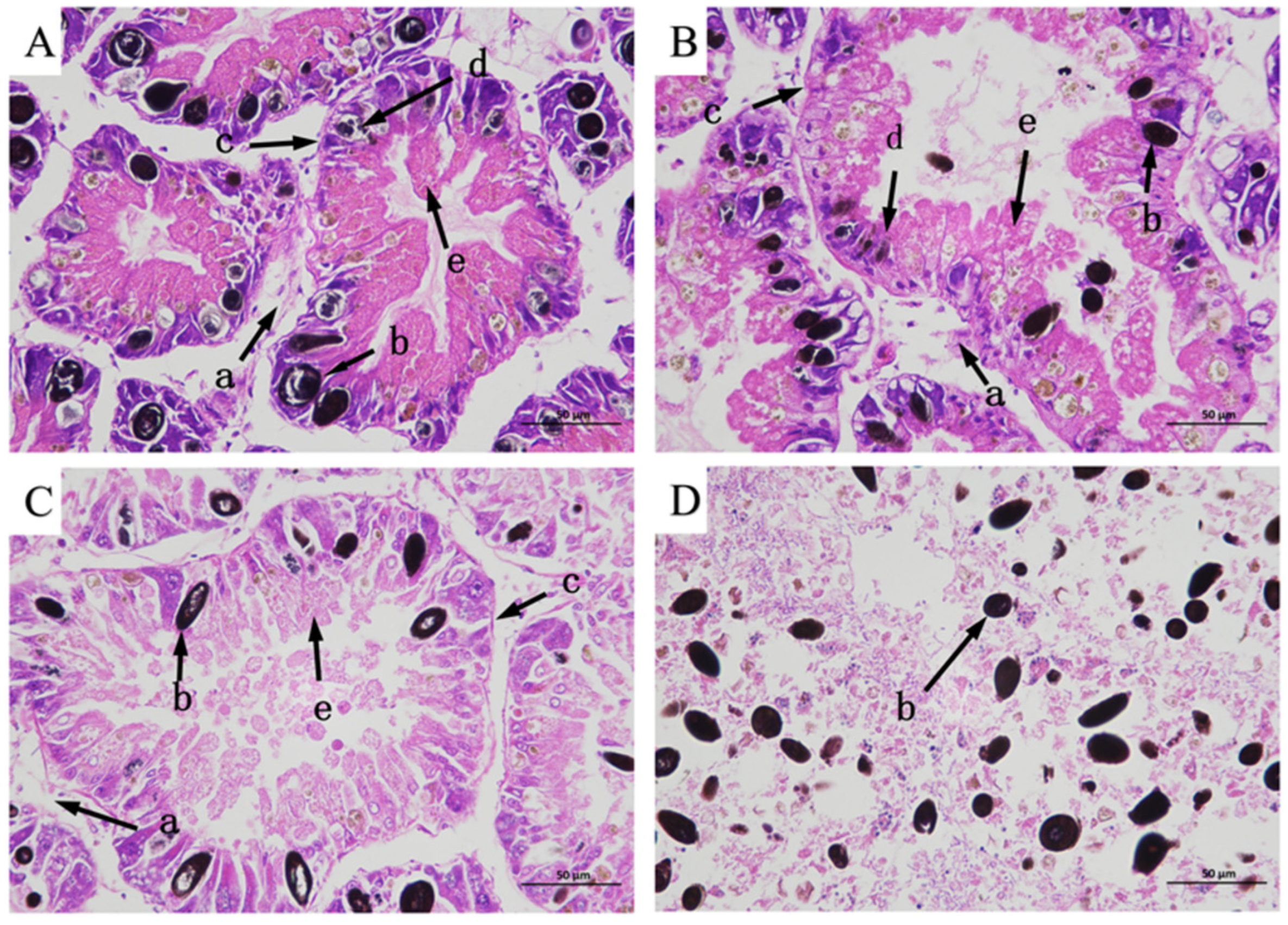 Plants 14 00823 g004