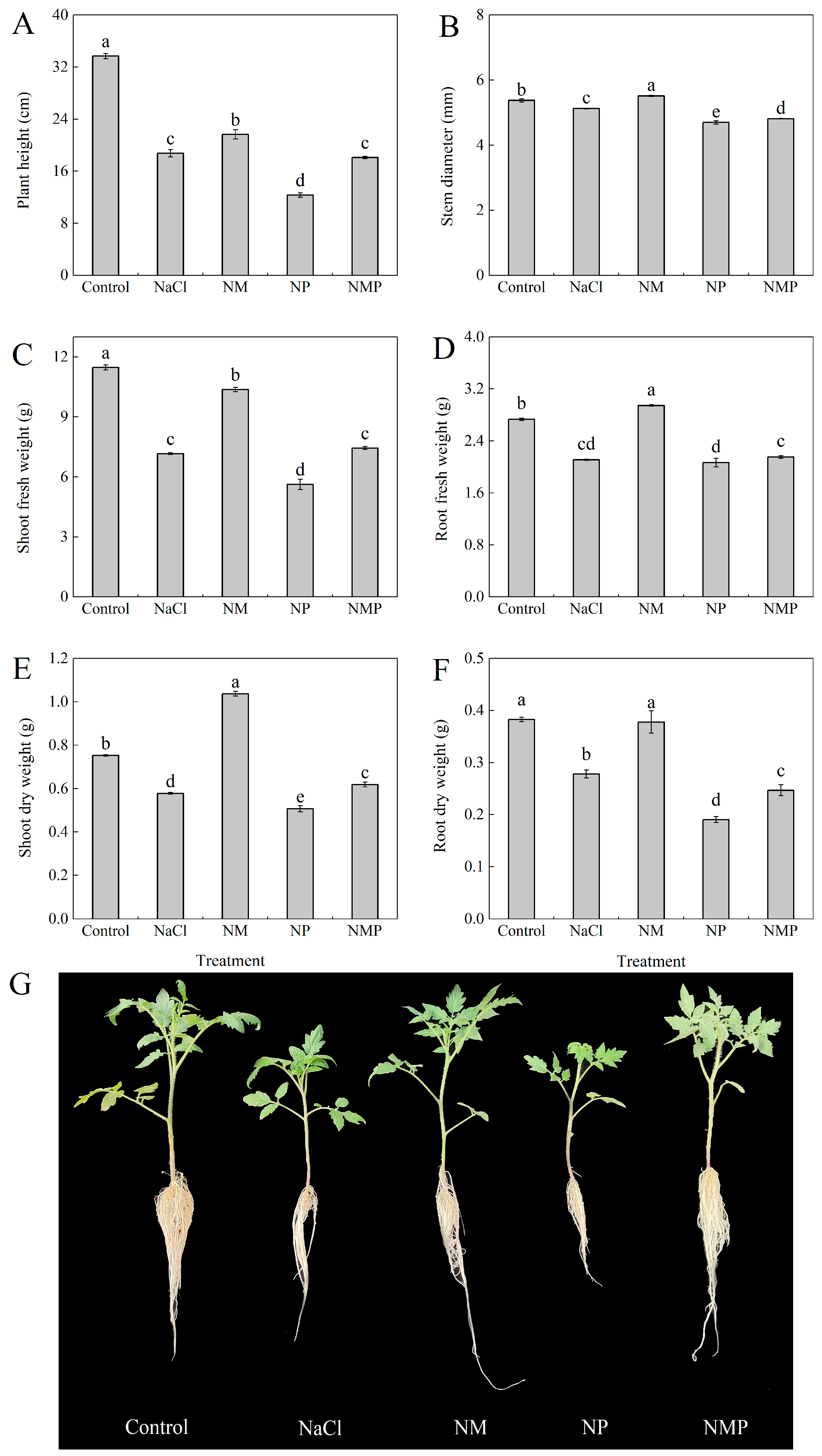 Plants 14 00824 g001