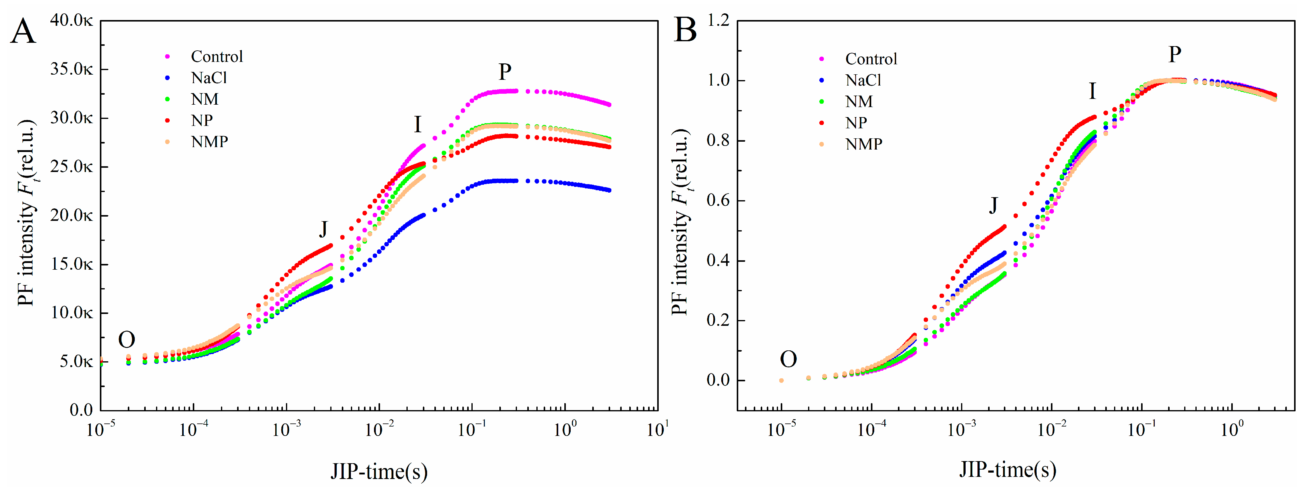 Plants 14 00824 g004