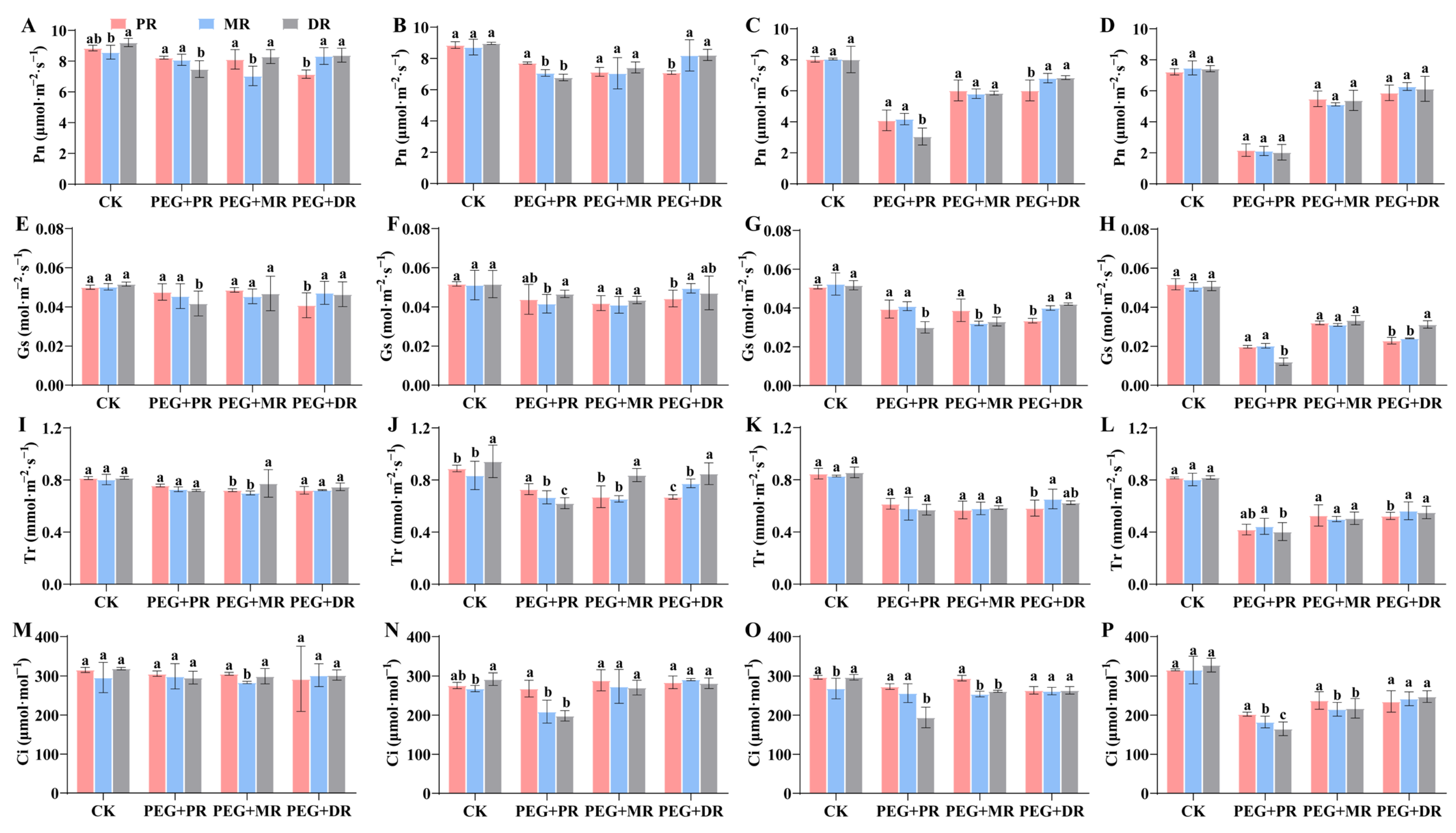 Plants 14 00826 g004