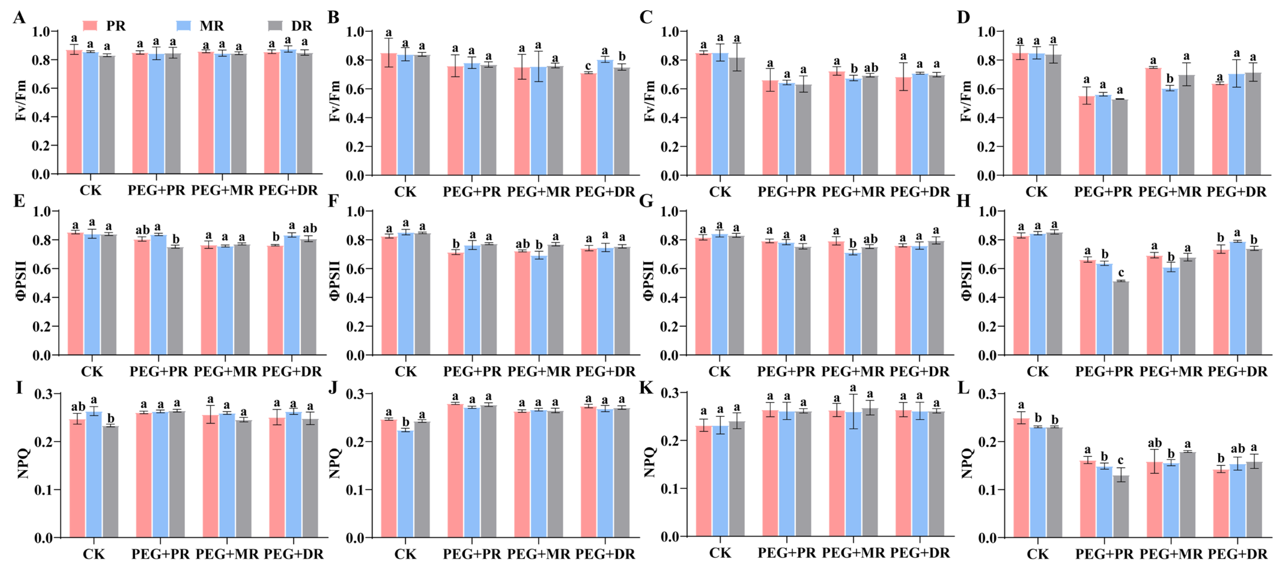 Plants 14 00826 g005