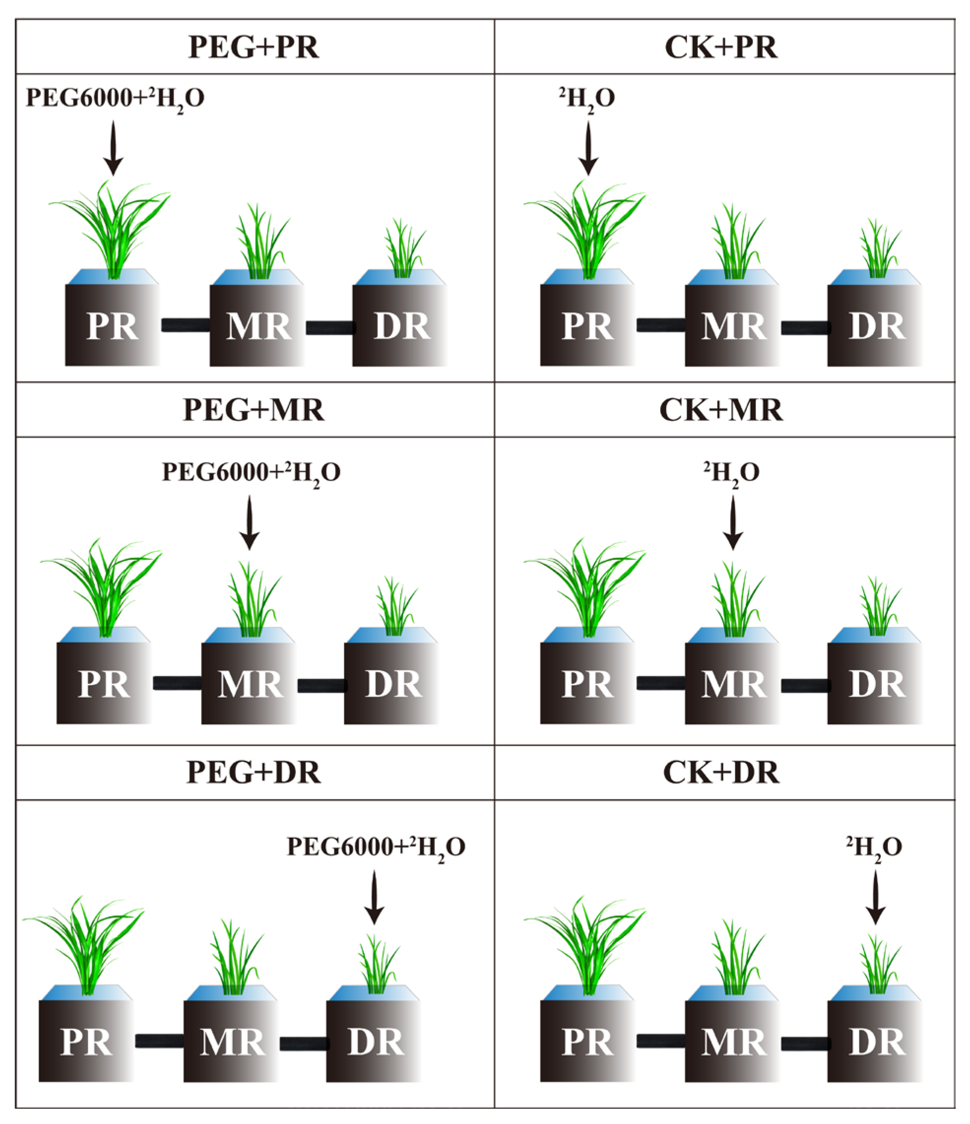 Plants 14 00826 g009