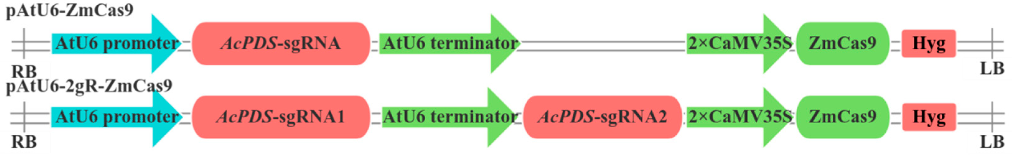 Plants 14 00832 g002