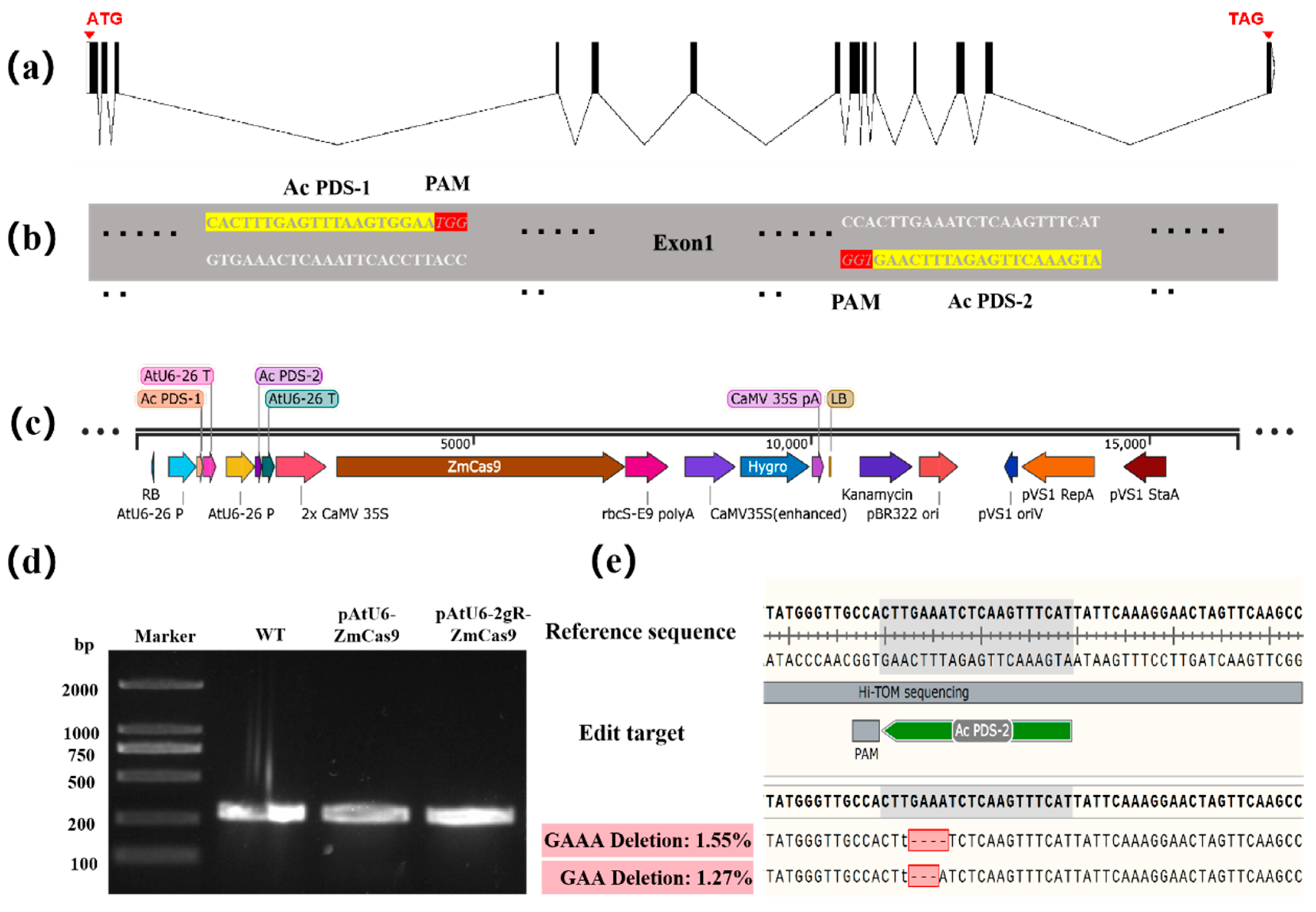 Plants 14 00832 g006