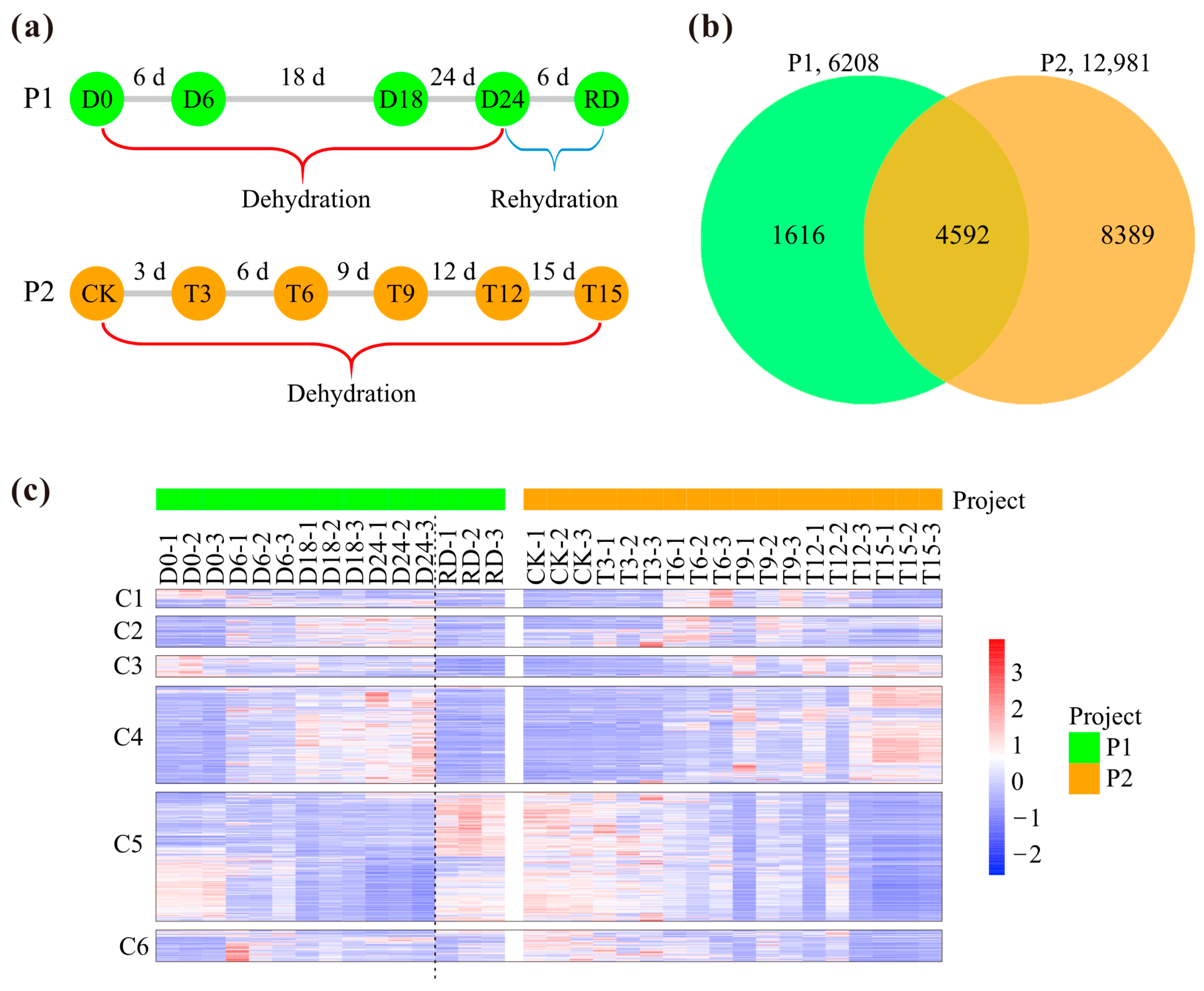 Plants 14 00833 g001