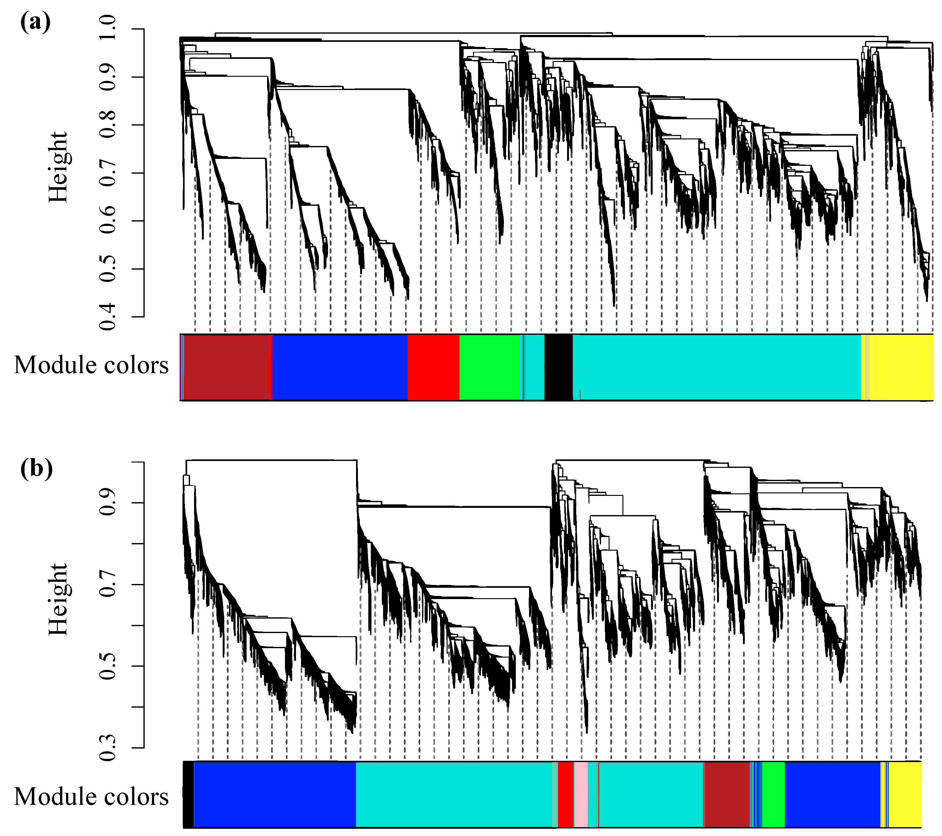 Plants 14 00833 g002