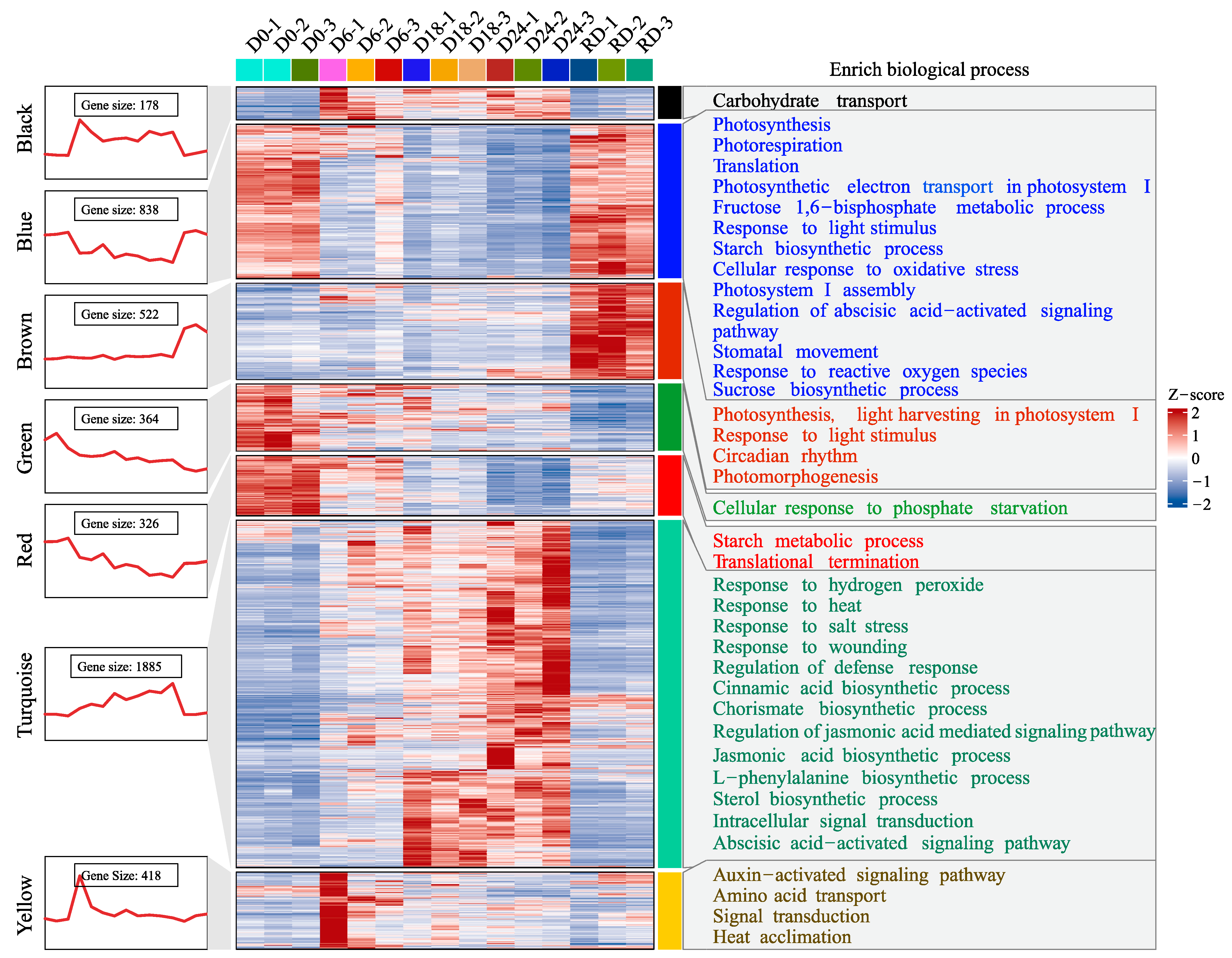 Plants 14 00833 g003