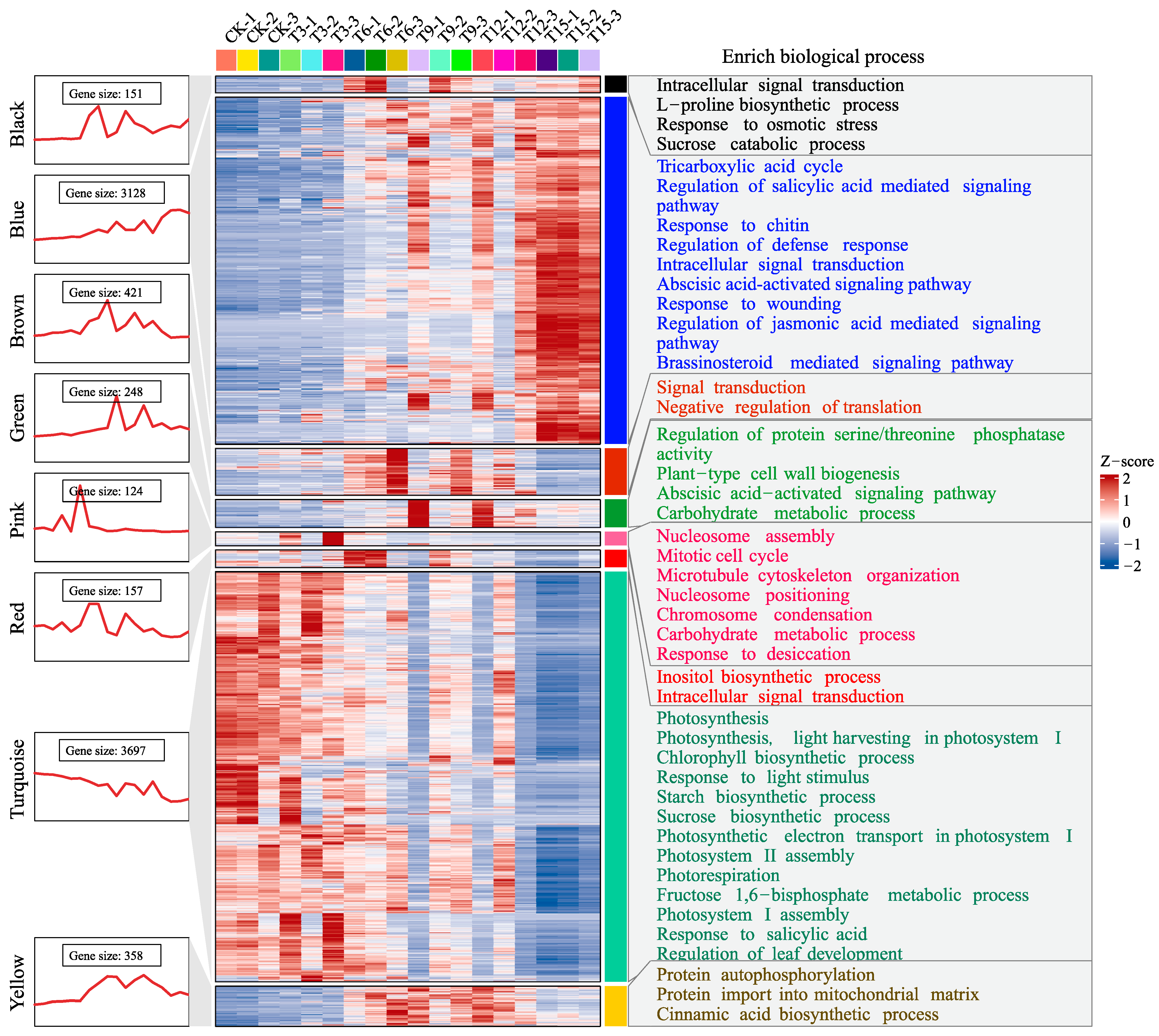 Plants 14 00833 g004
