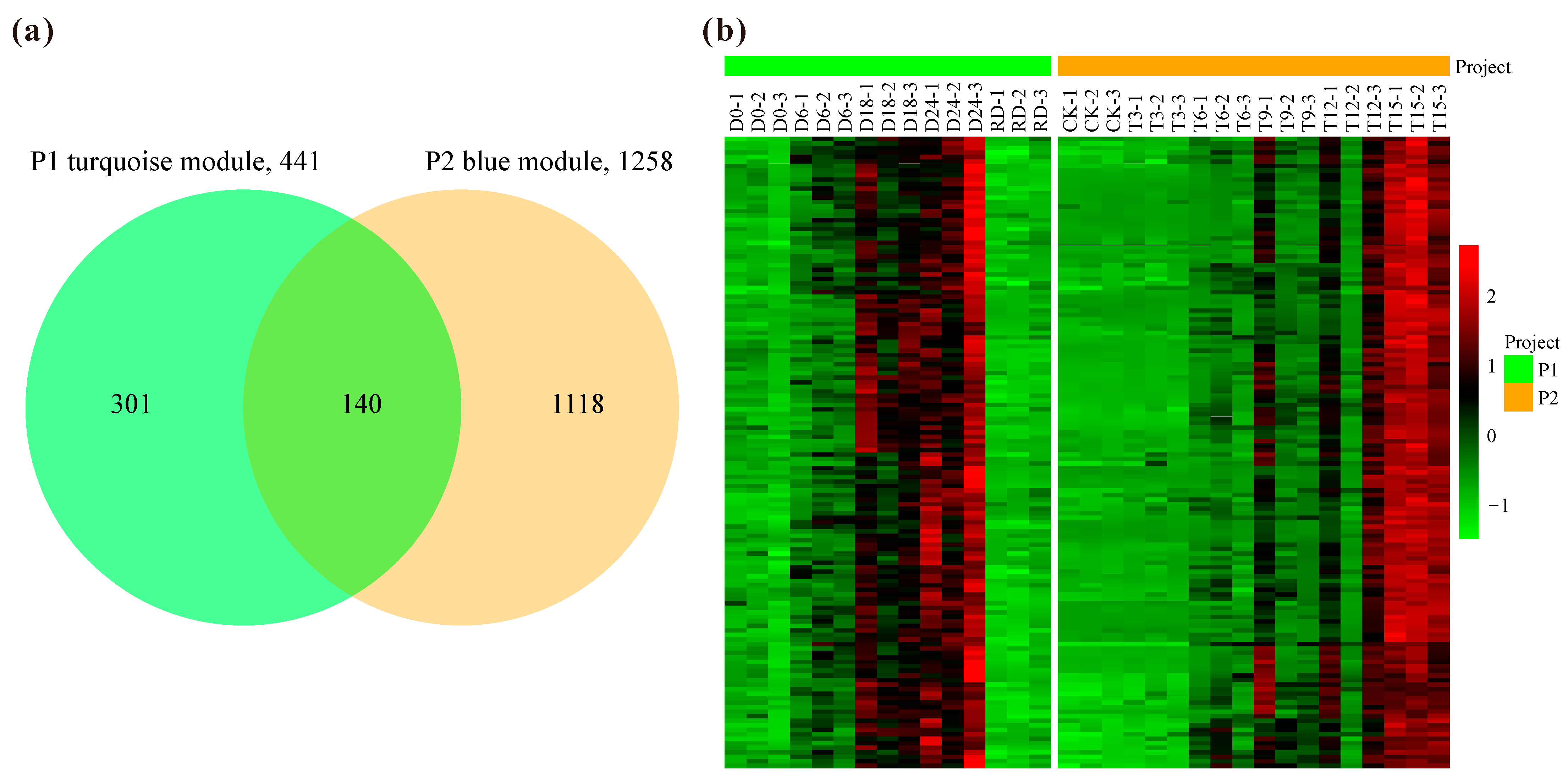 Plants 14 00833 g005