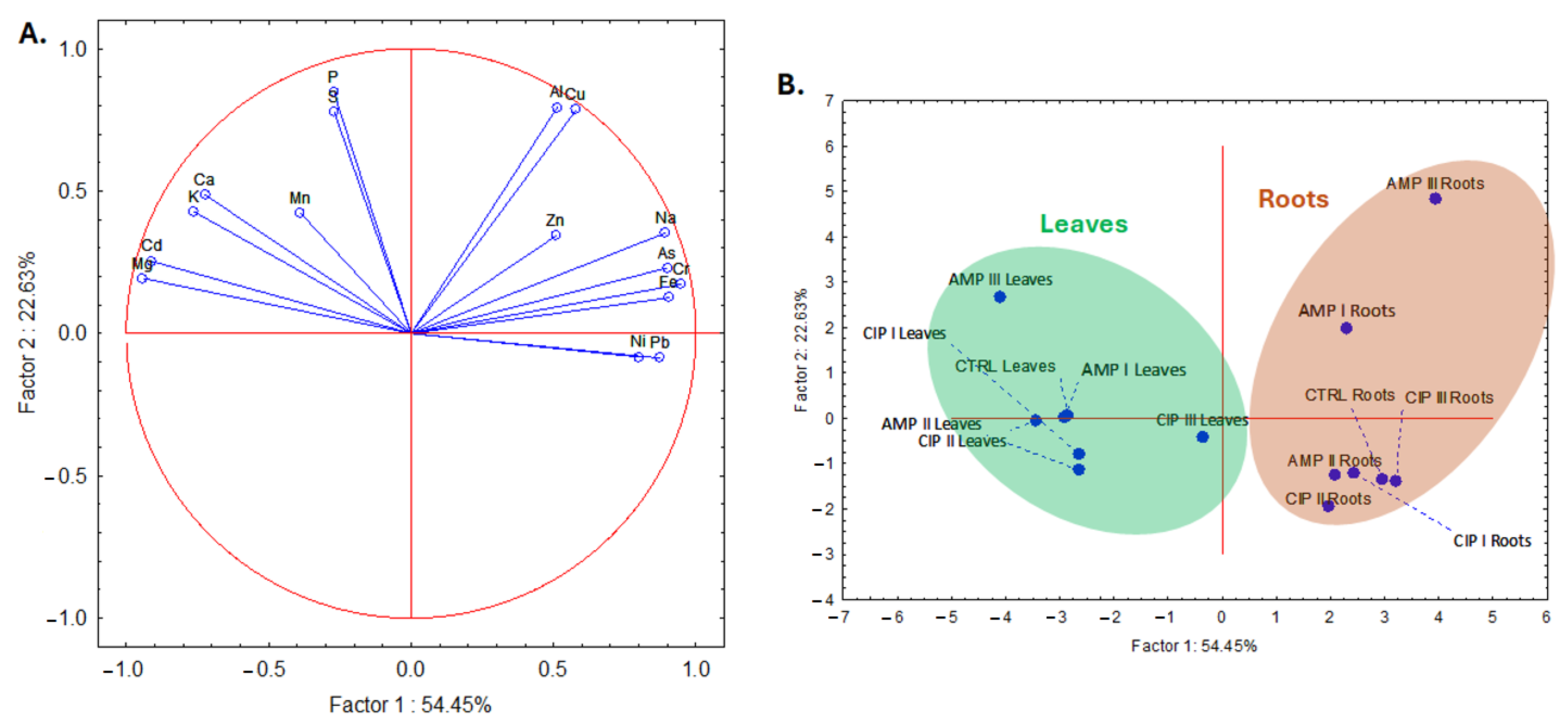 Plants 14 00842 g006 Plants 14 00842 g006