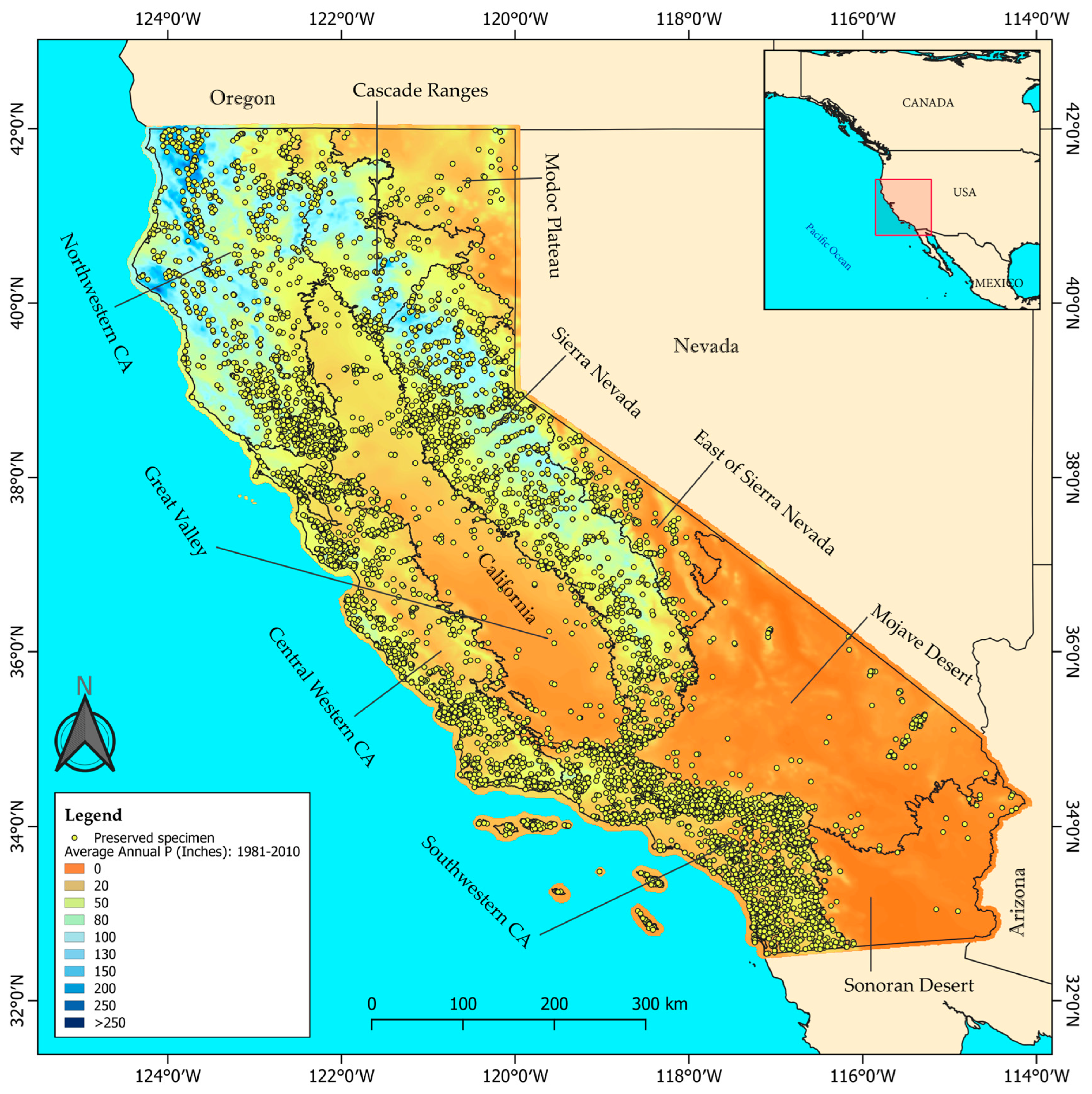 Plants 14 00843 g001