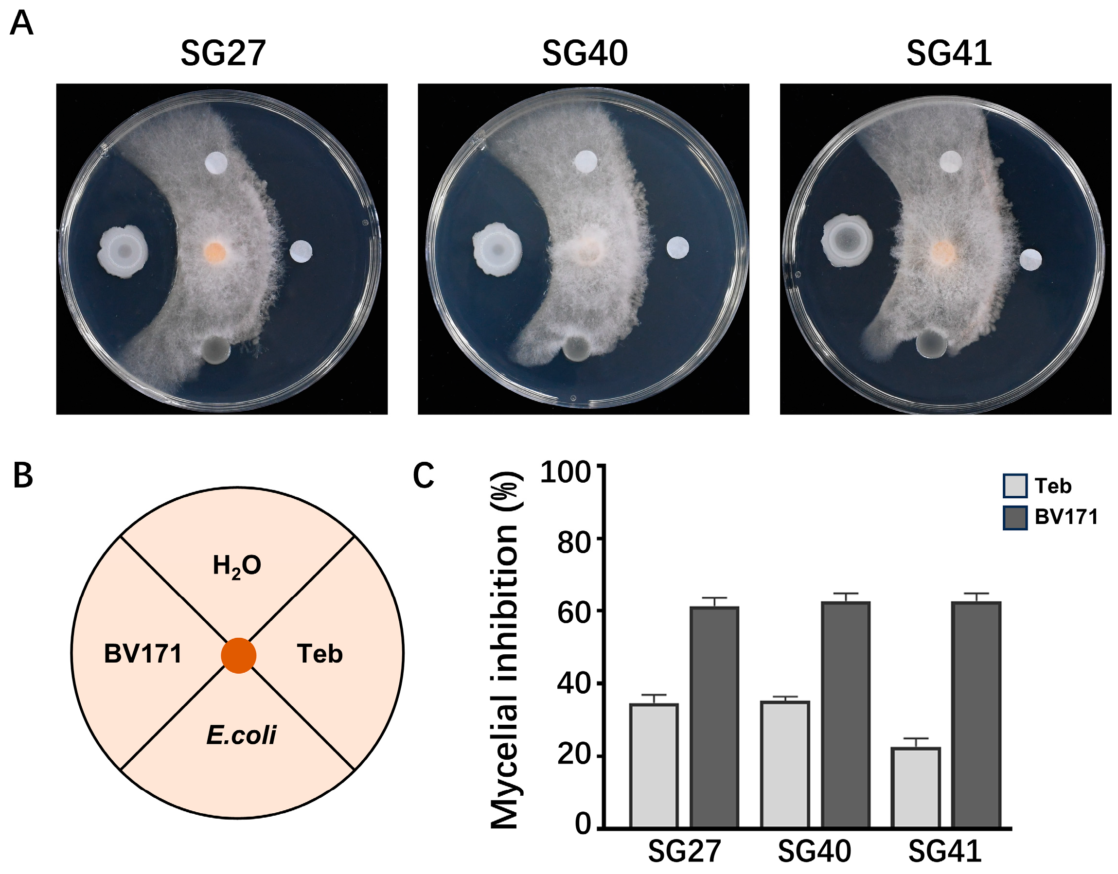 Plants 14 00845 g005