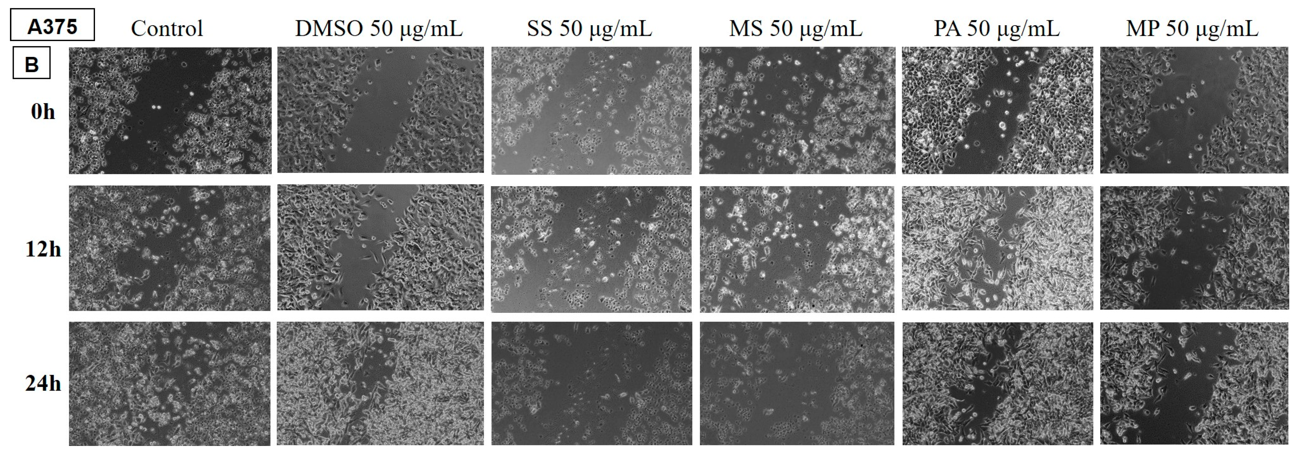 Plants 14 00846 g007 Plants 14 00846 g007