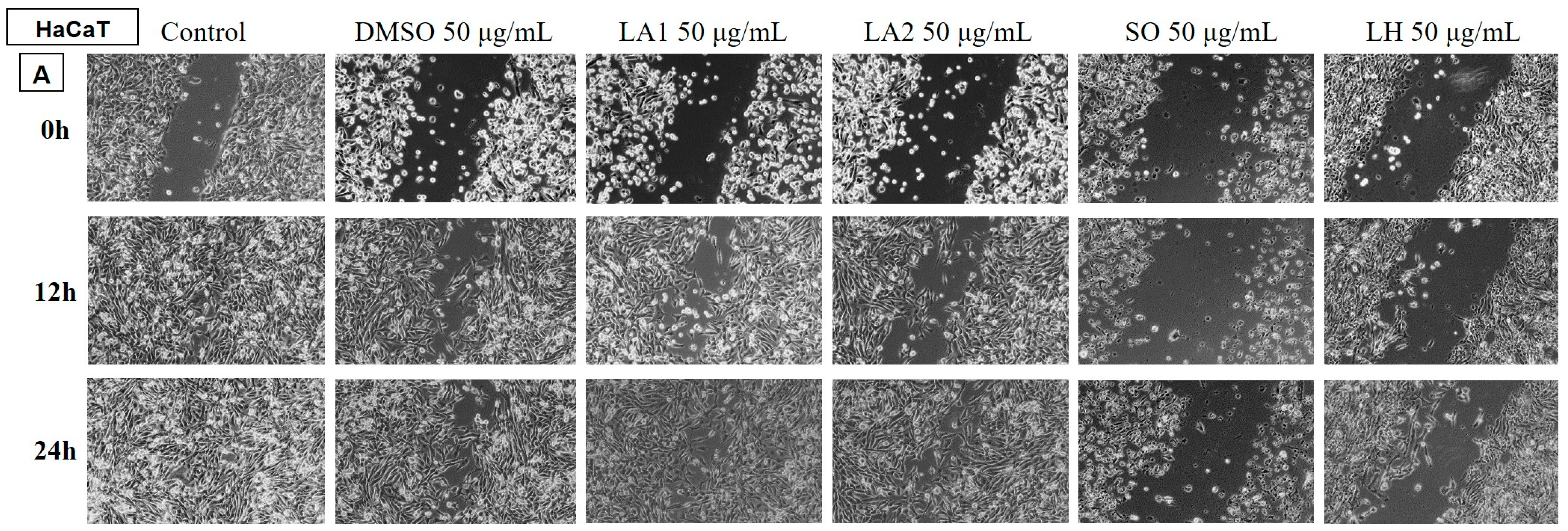 Plants 14 00846 g010 Plants 14 00846 g010