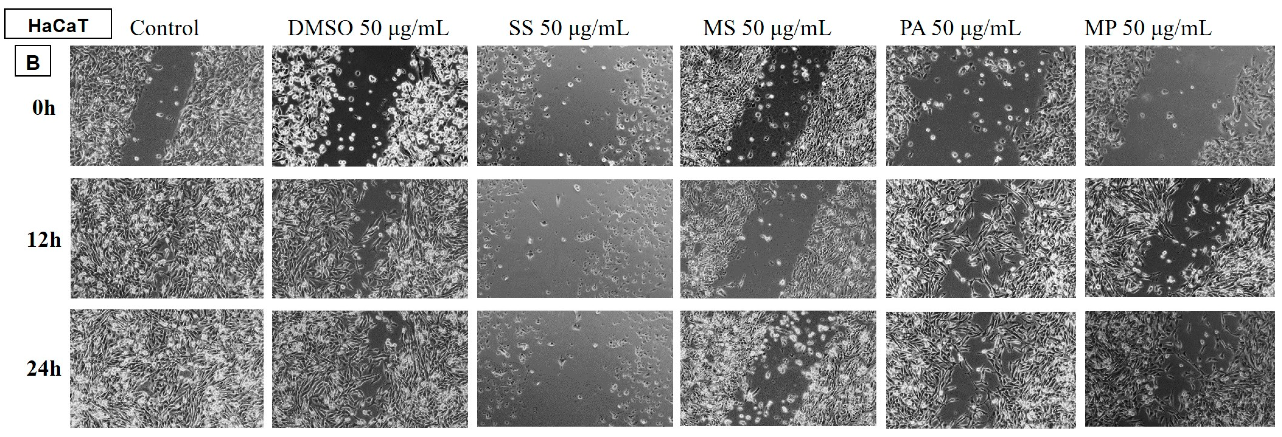 Plants 14 00846 g011 Plants 14 00846 g011