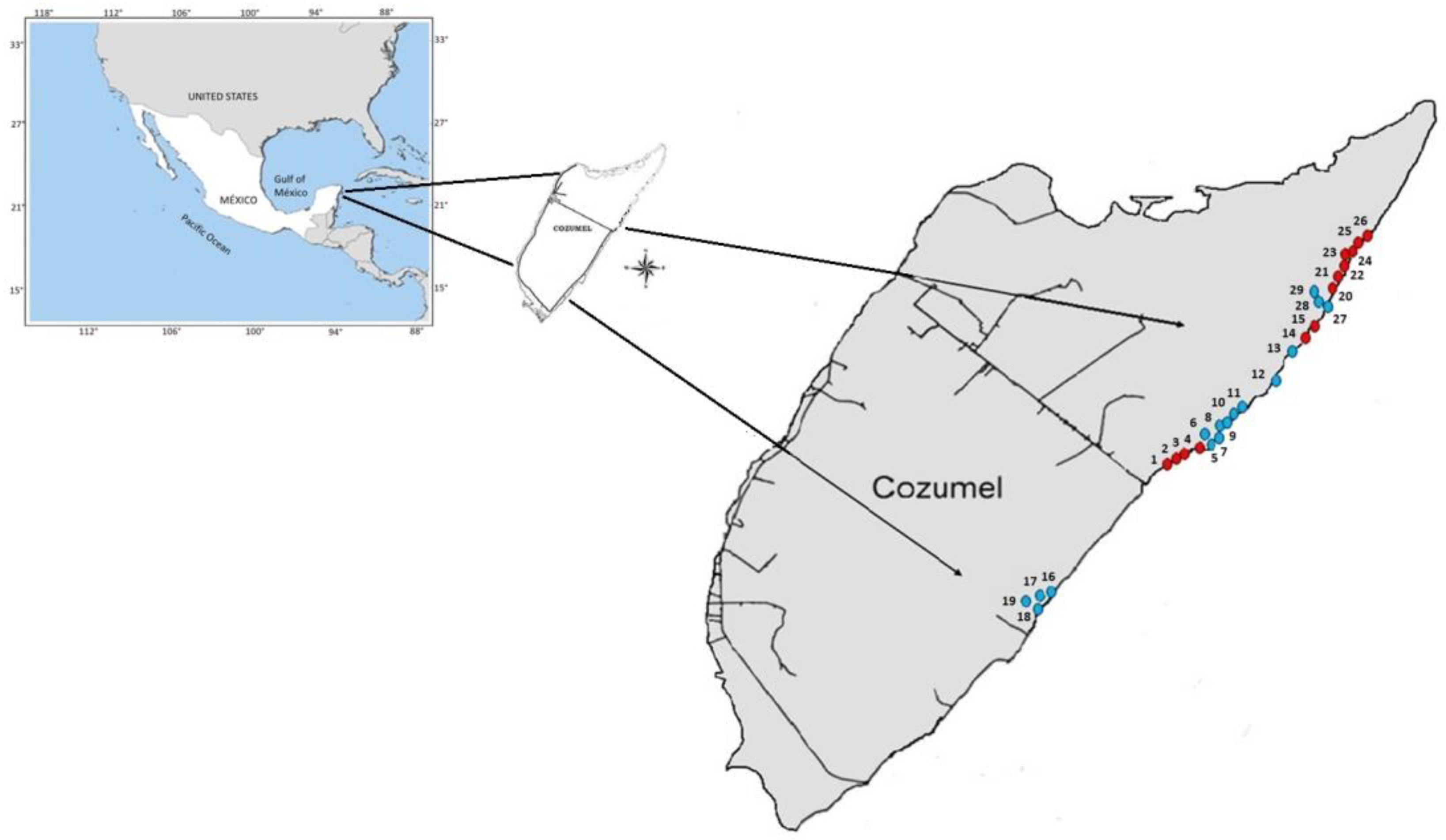 Plants 14 00853 g005