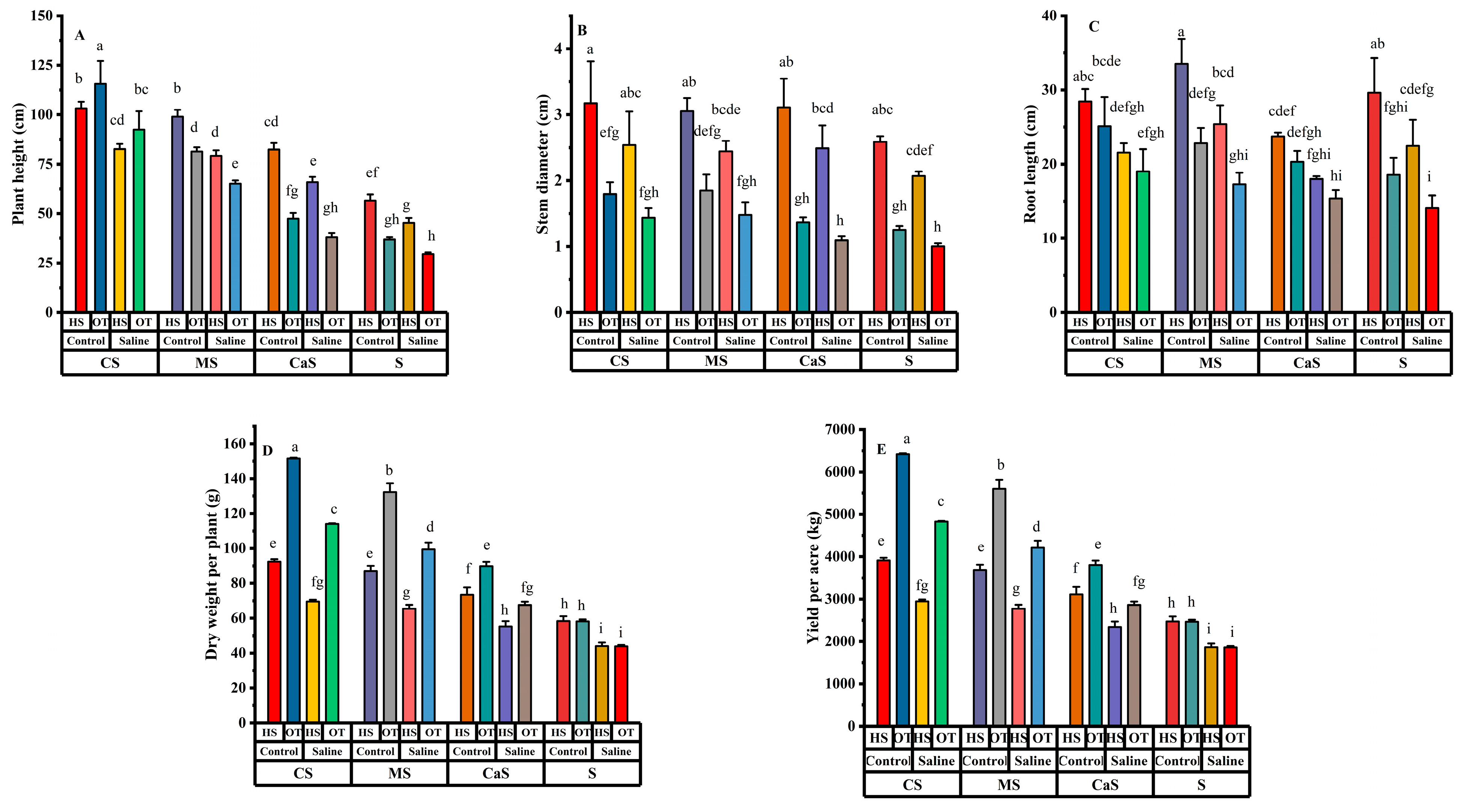 Plants 14 00855 g001