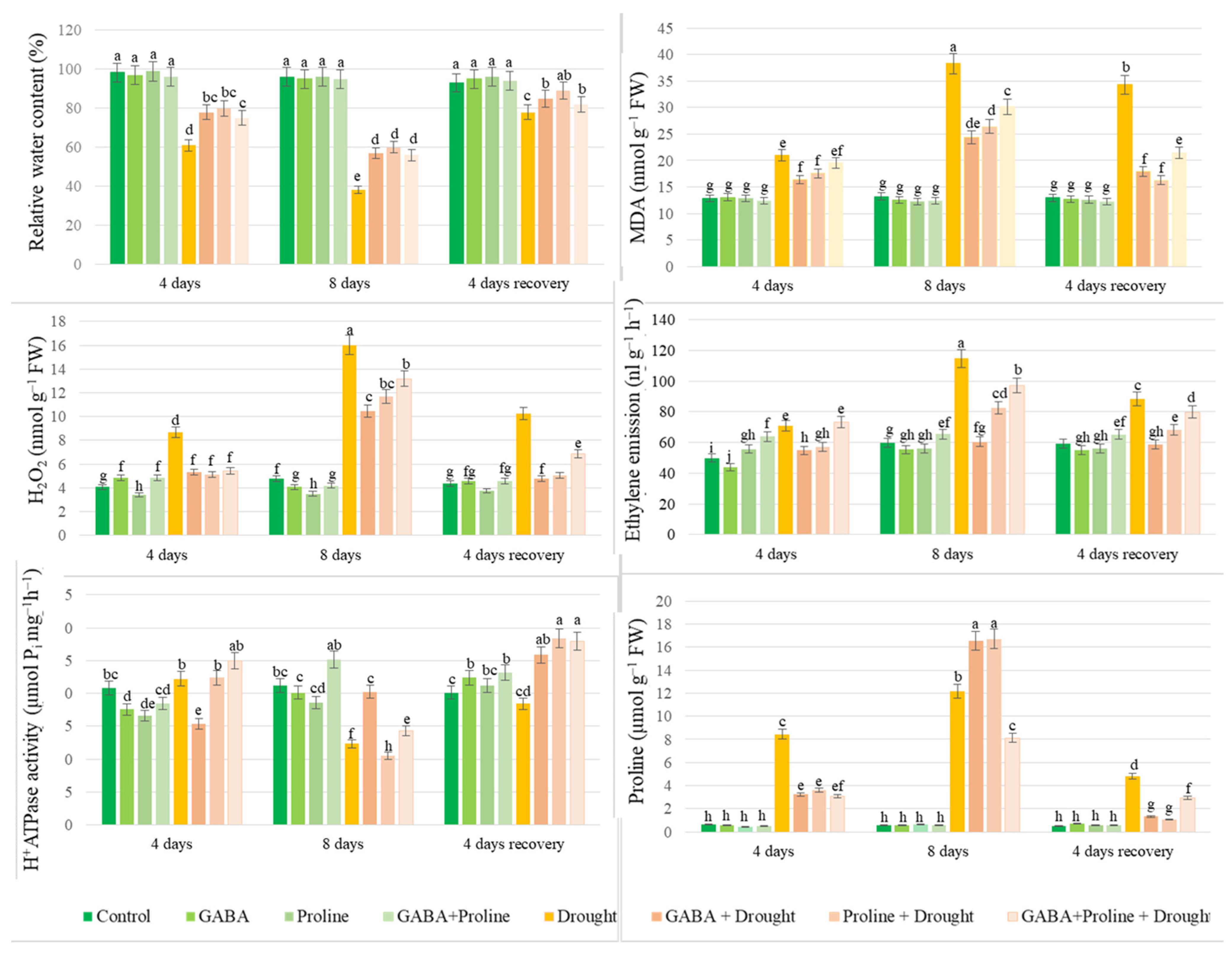 GABA and Proline Application Induce Drought Resistance in