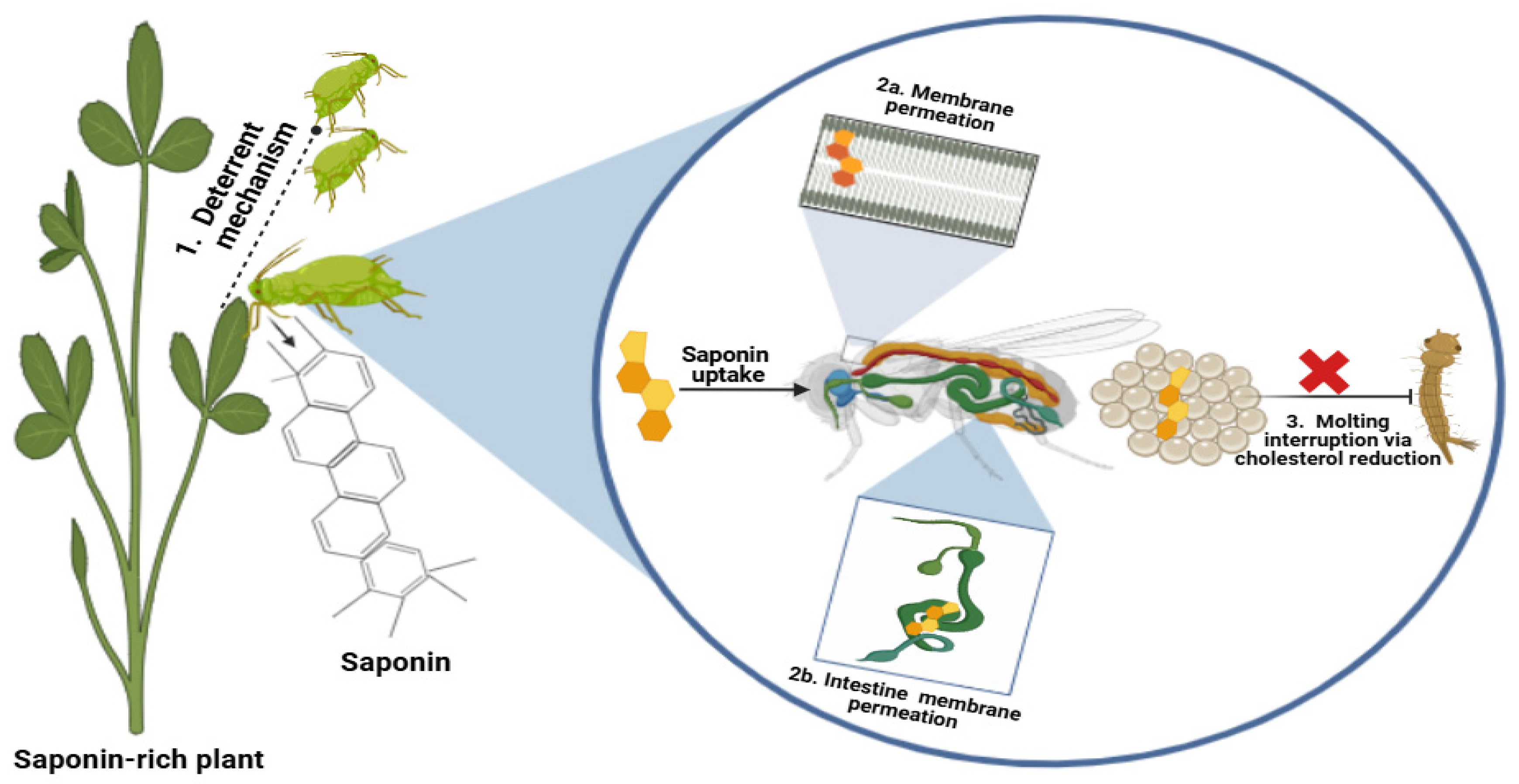 Plants 14 00861 g004