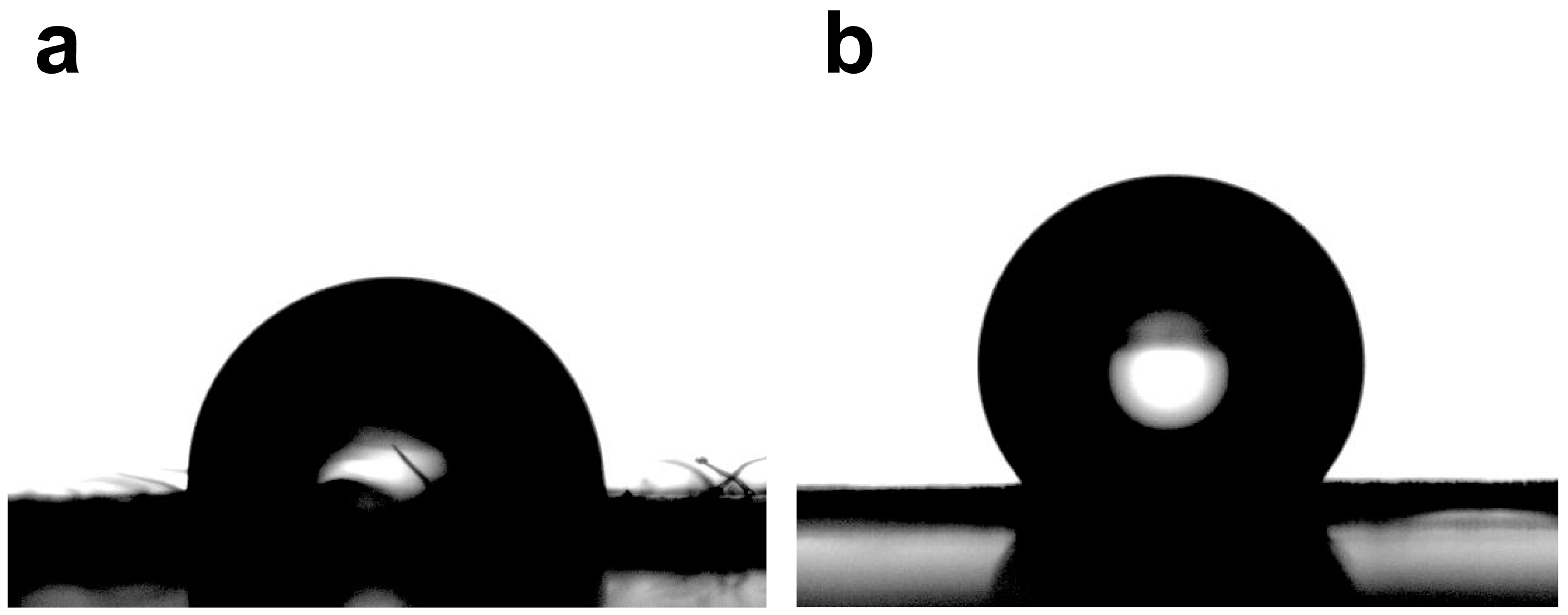 Plants 14 00862 g003 Plants 14 00862 g003