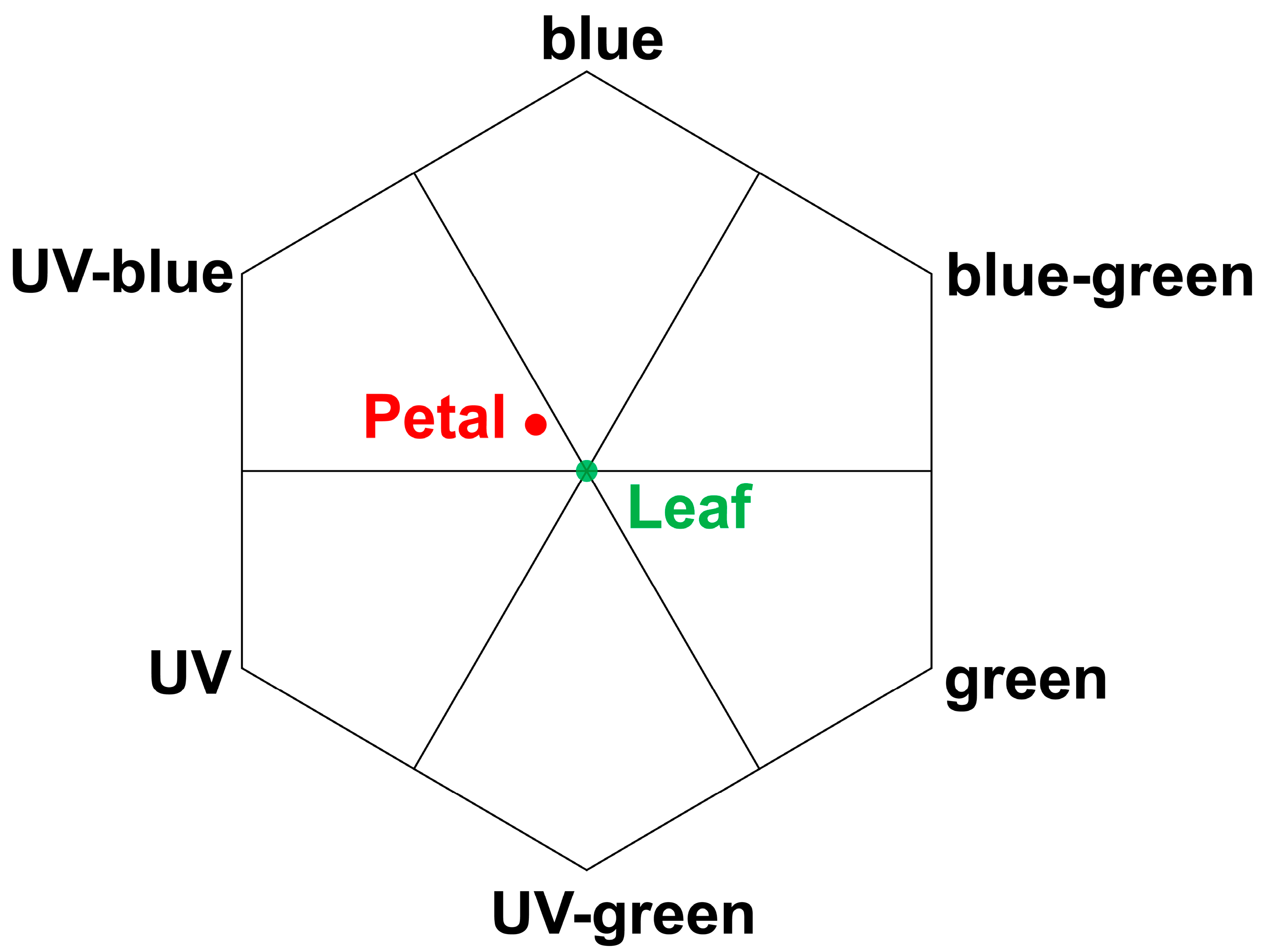 Plants 14 00862 g007 Plants 14 00862 g007