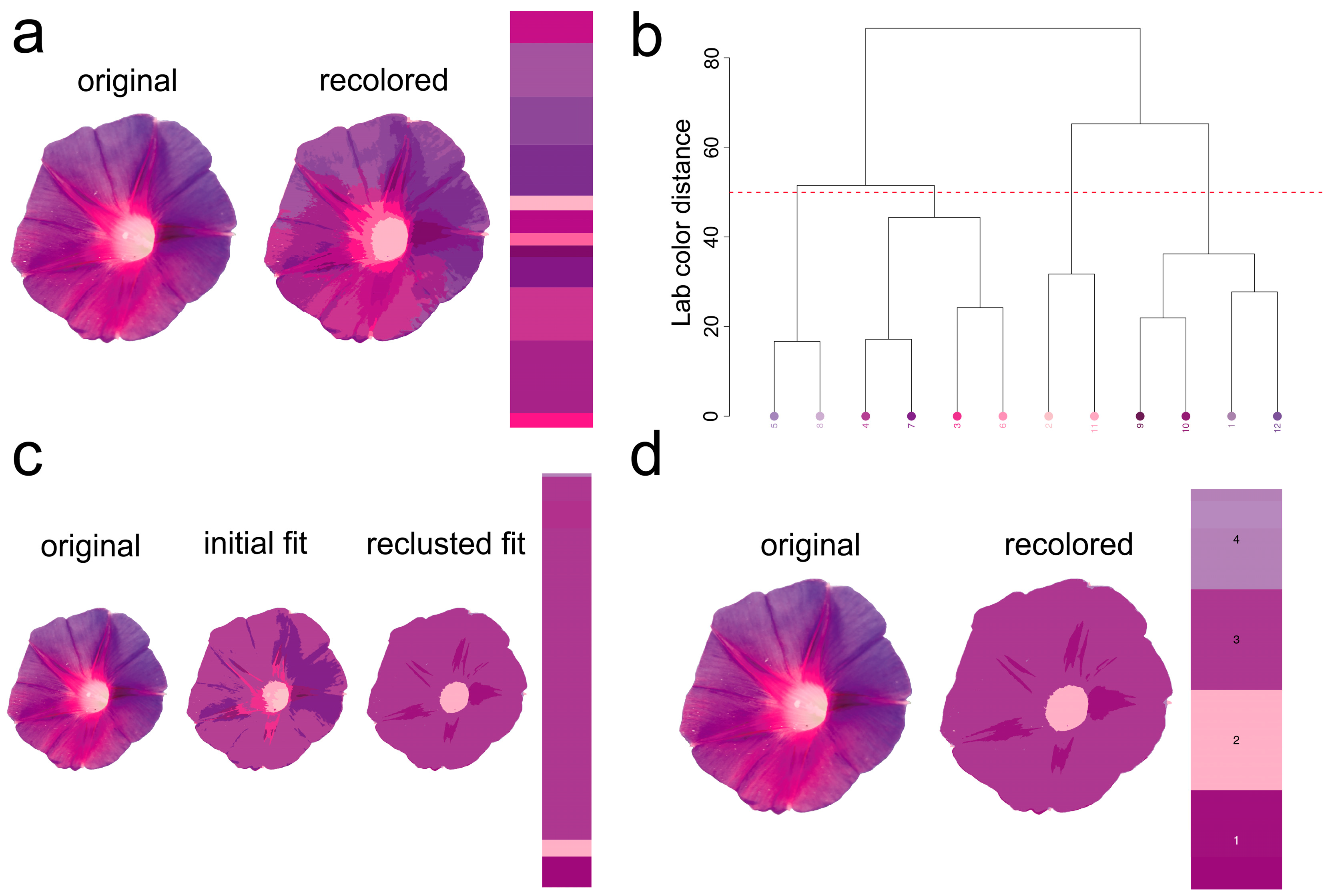 Plants 14 00862 g008 Plants 14 00862 g008